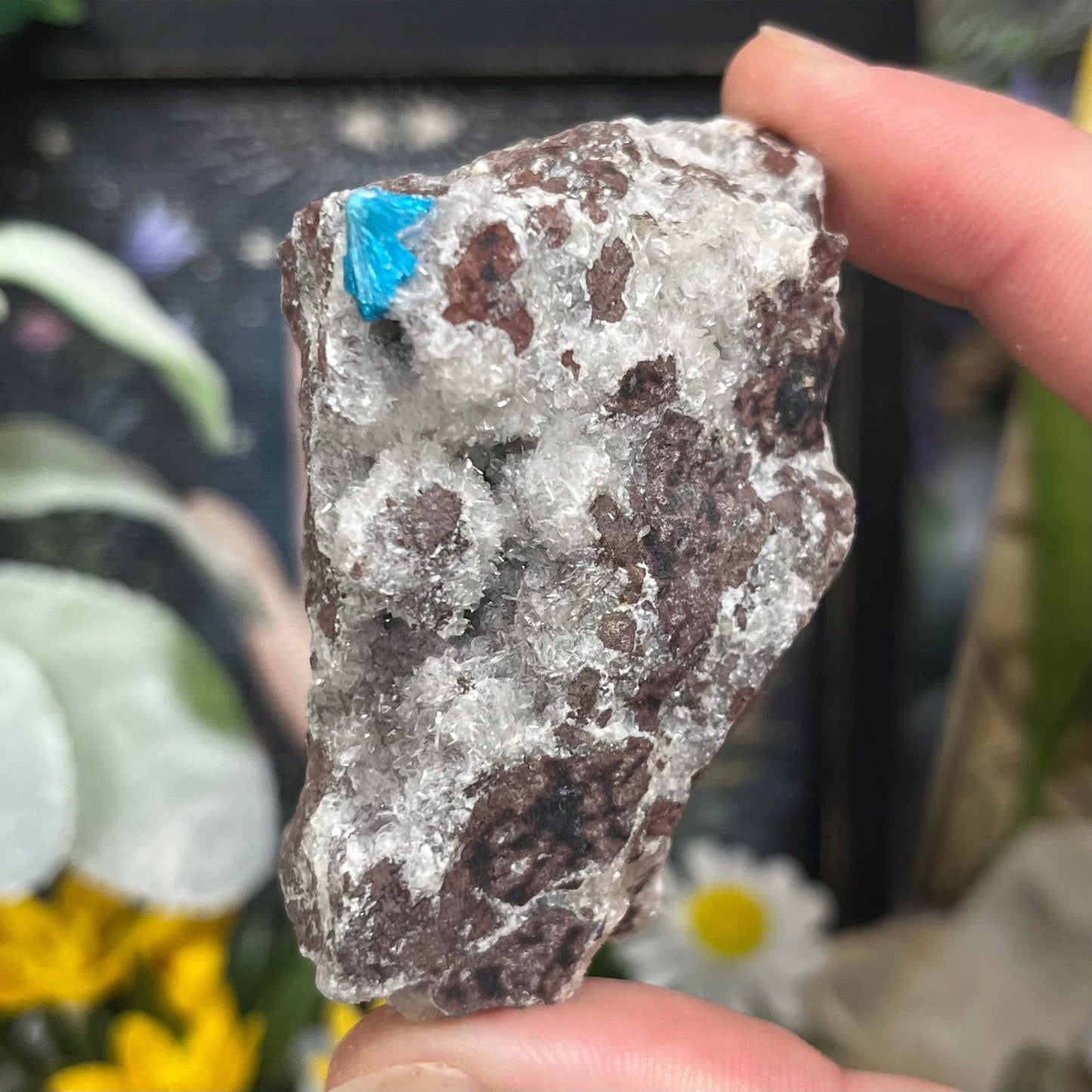 Cavansite on Stilbite | Raw Stilbite | Cavansite Specimen
