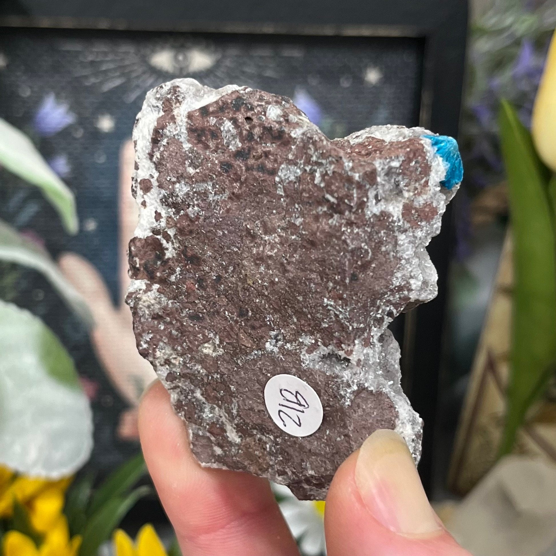 Cavansite on Stilbite | Raw Stilbite | Cavansite Specimen