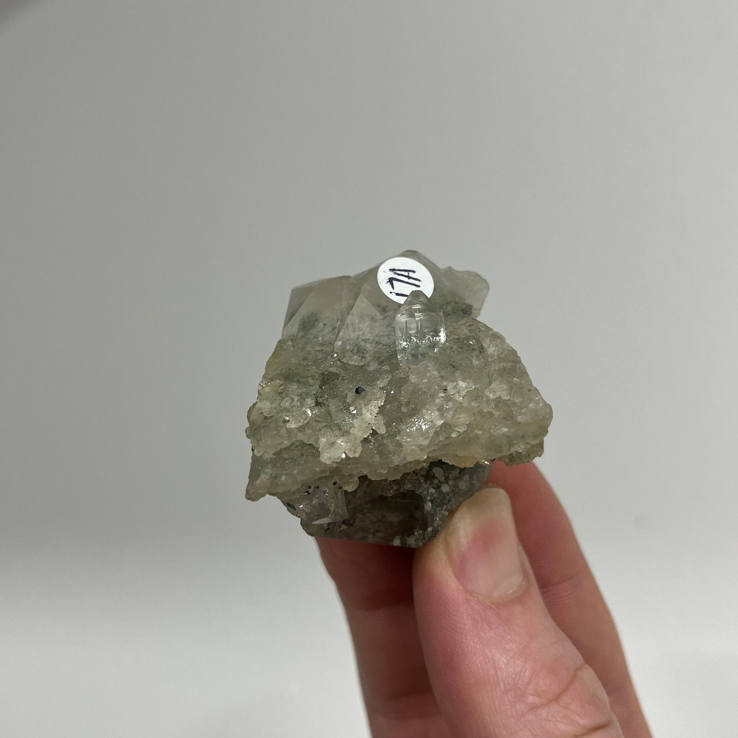 Himalayan Quartz Cluster with Rutile and Green Chlorite