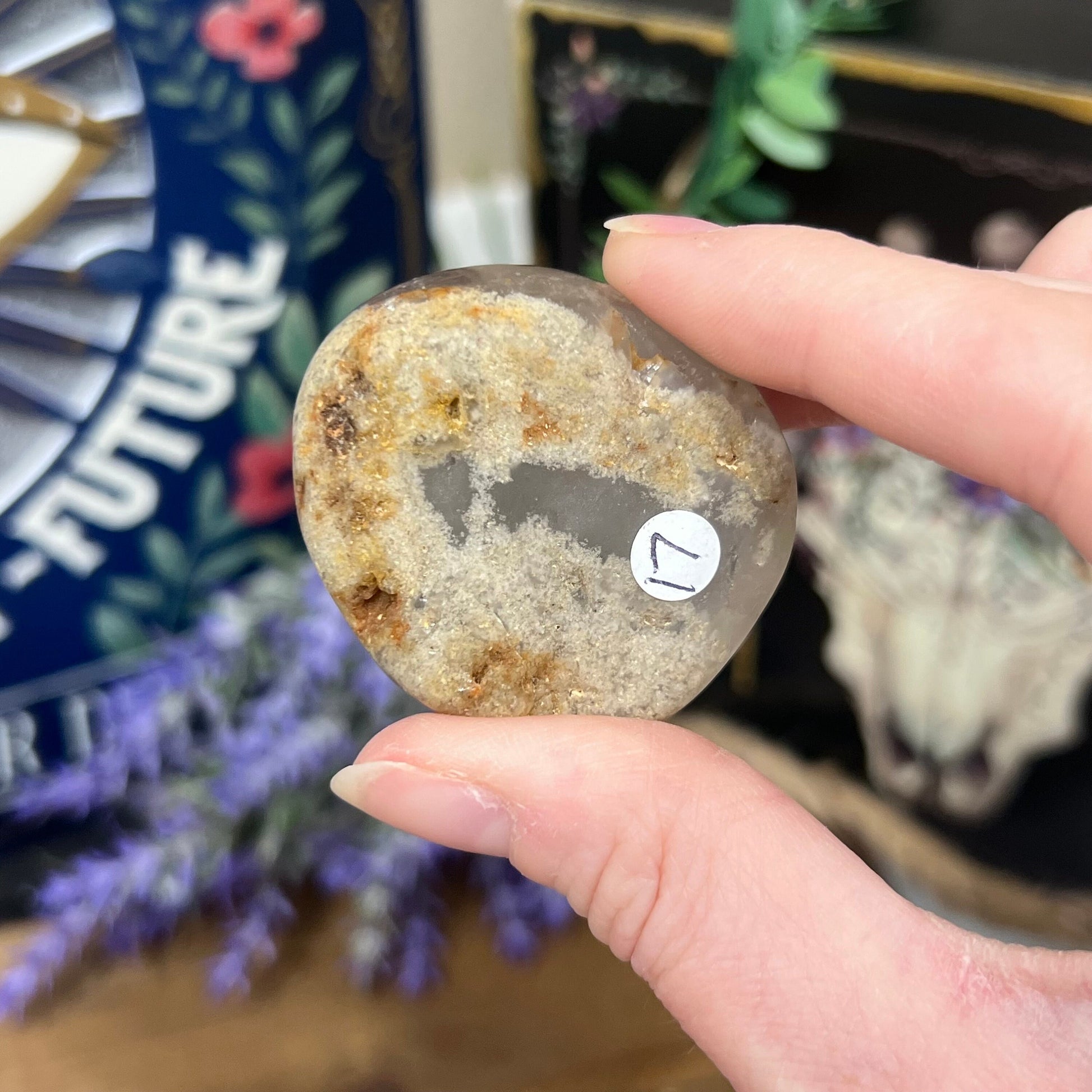 White Garden Quartz Lens | Lodolite Quartz | Included Quartz