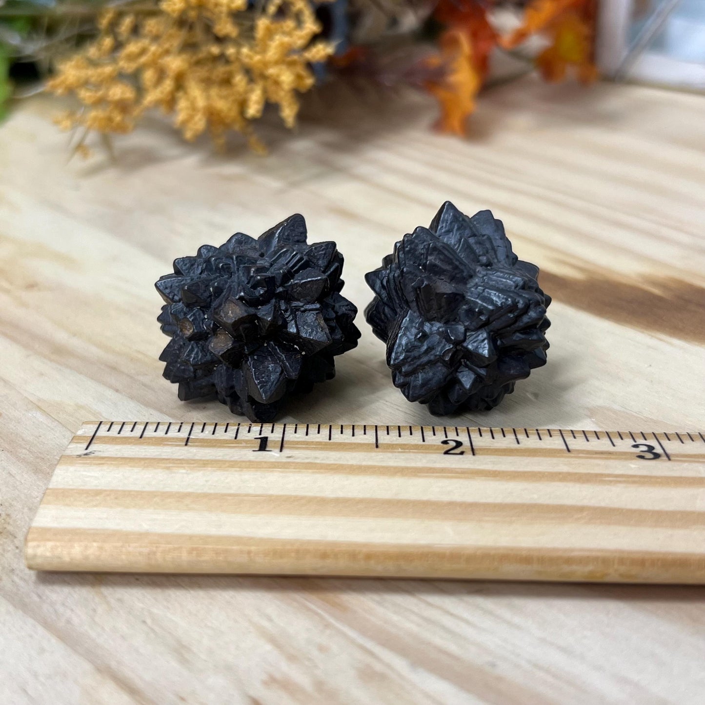 Prophecy Stone | Limonite/Hematite after Marcasite/Pyrite