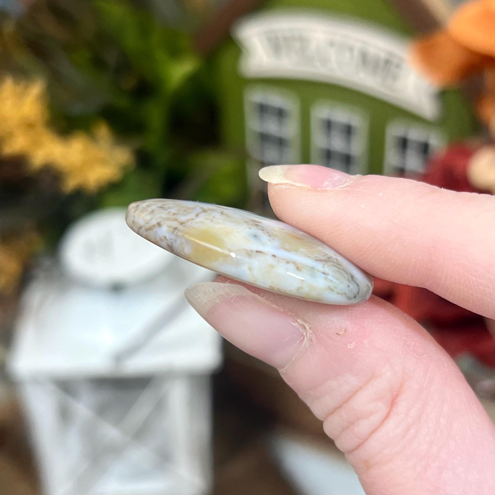 Ocean Jasper Cab | Ocean Jasper Cabochon