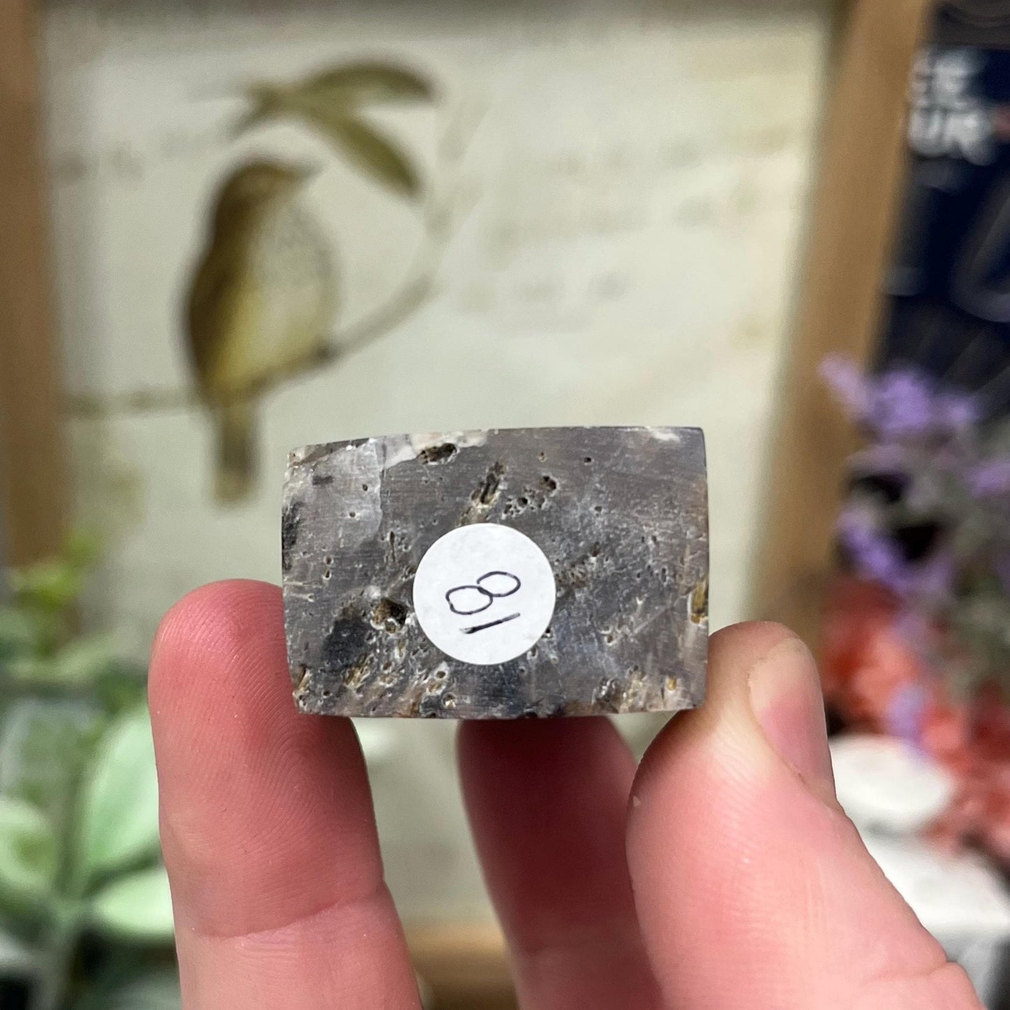 Rare Rutilated Moss Agate Tower | Unique Moss Agate | Rutilated Agate | Rutile