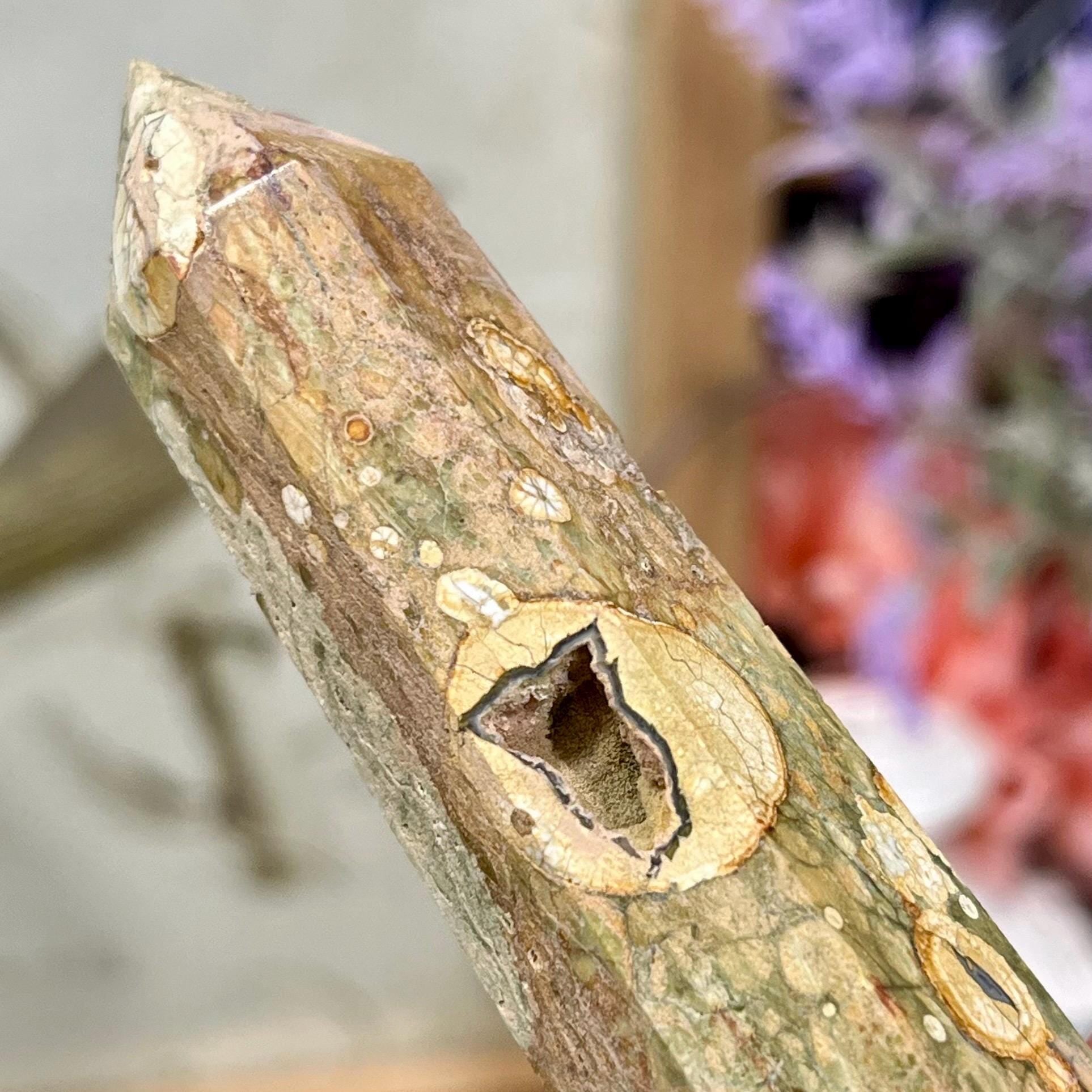 Rainforest Rhyolite Tower | Rainforest Jasper