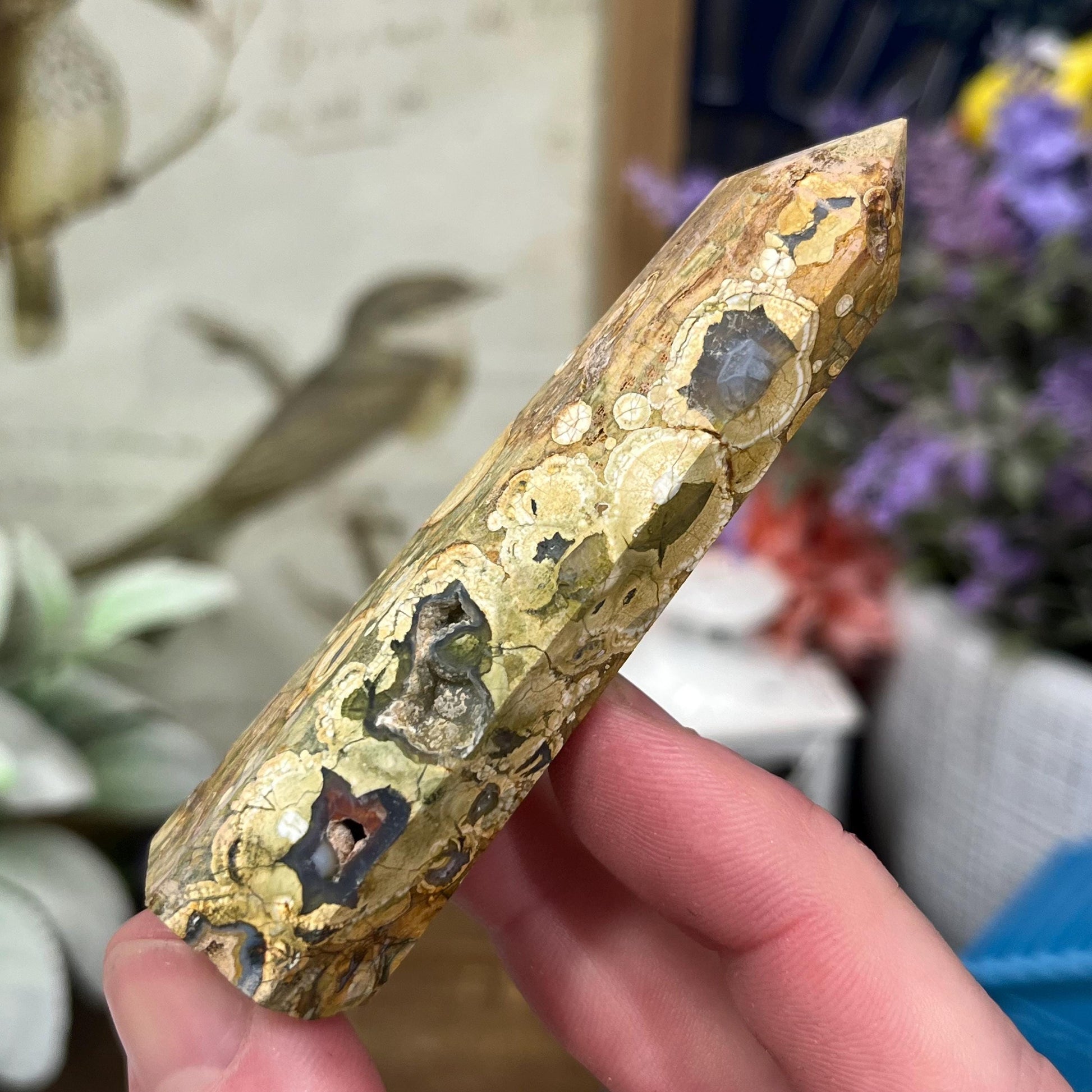 Rainforest Rhyolite Tower | Rainforest Jasper