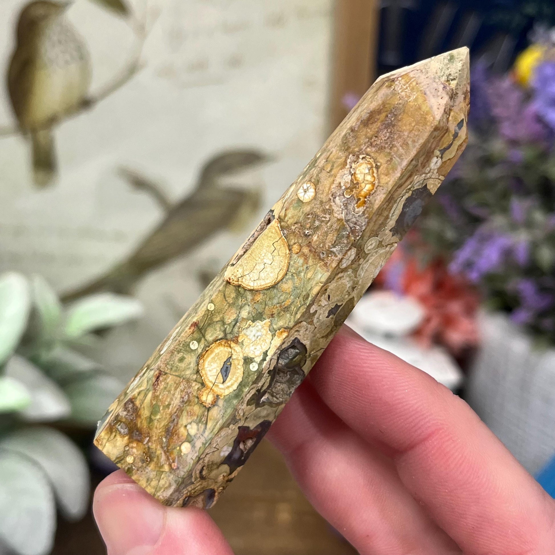 Rainforest Rhyolite Tower | Rainforest Jasper