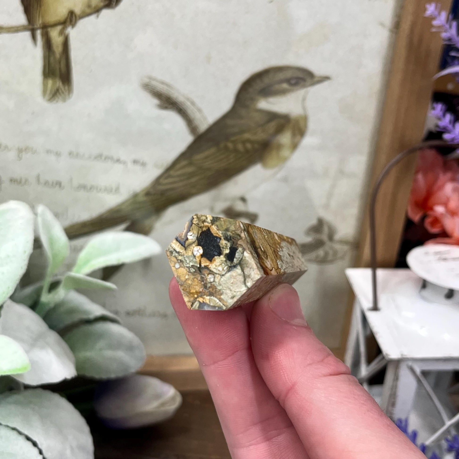 Rainforest Rhyolite Tower | Rainforest Jasper