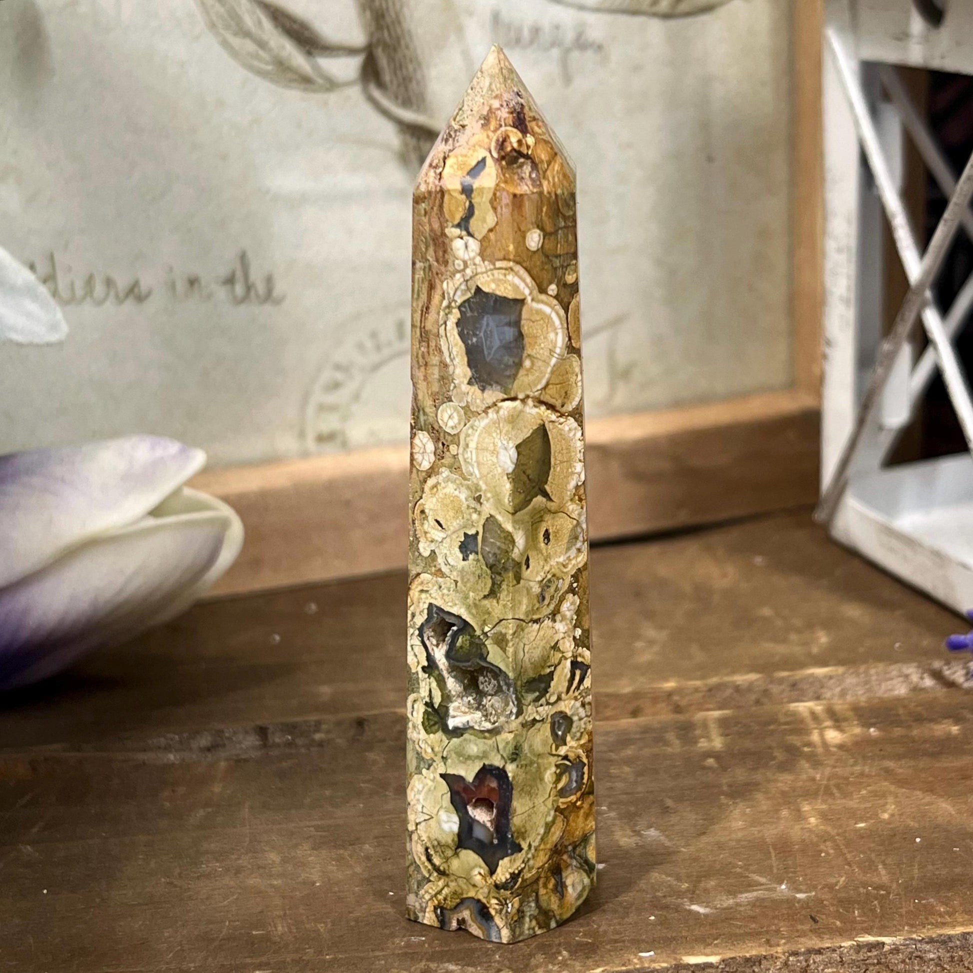 Rainforest Rhyolite Tower | Rainforest Jasper