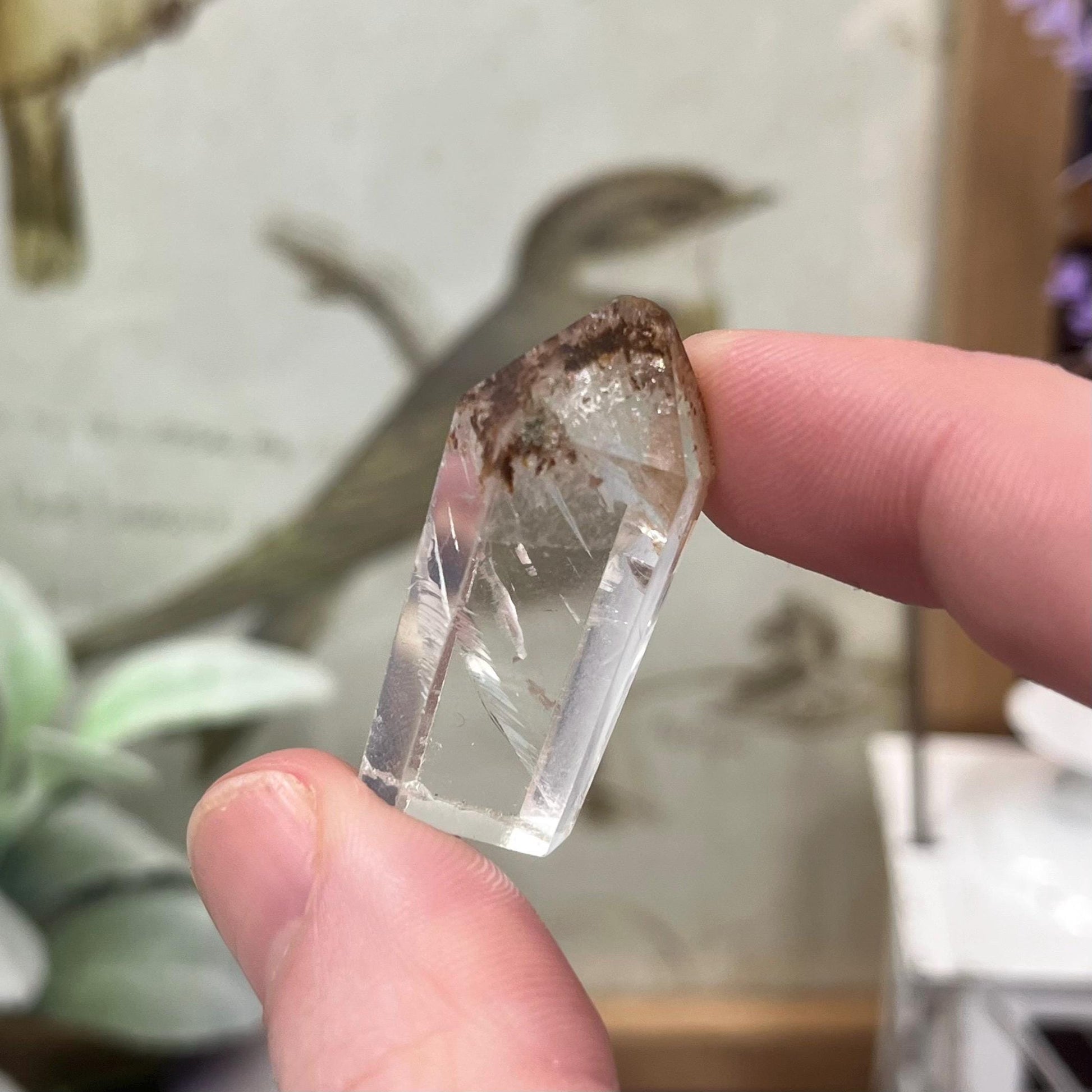 Mini Garden Quartz Tower | Lodolite Quartz