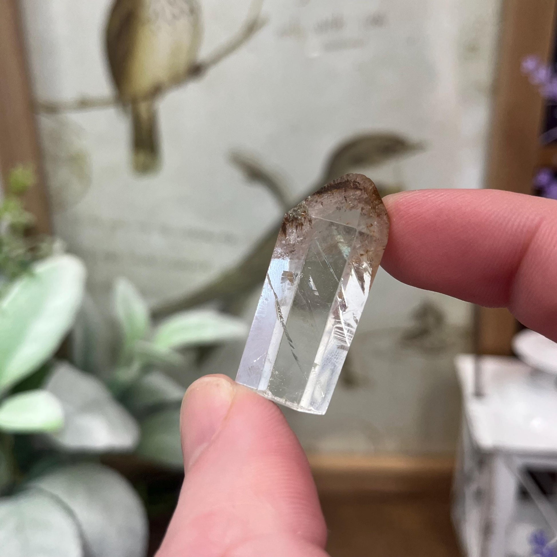 Mini Garden Quartz Tower | Lodolite Quartz