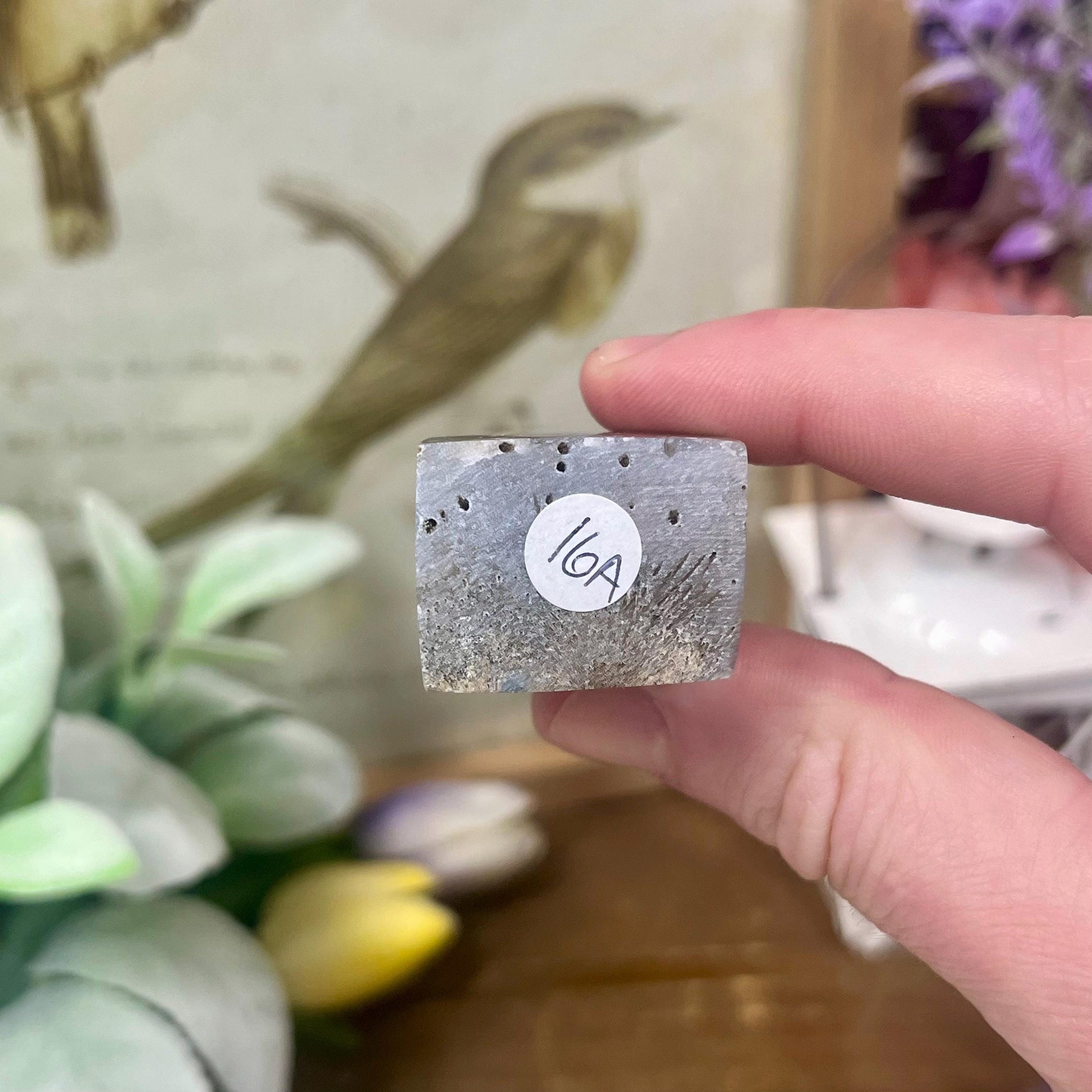 Rare Rutilated Moss Agate Tower | Unique Moss Agate | Rutilated Agate | Rutile