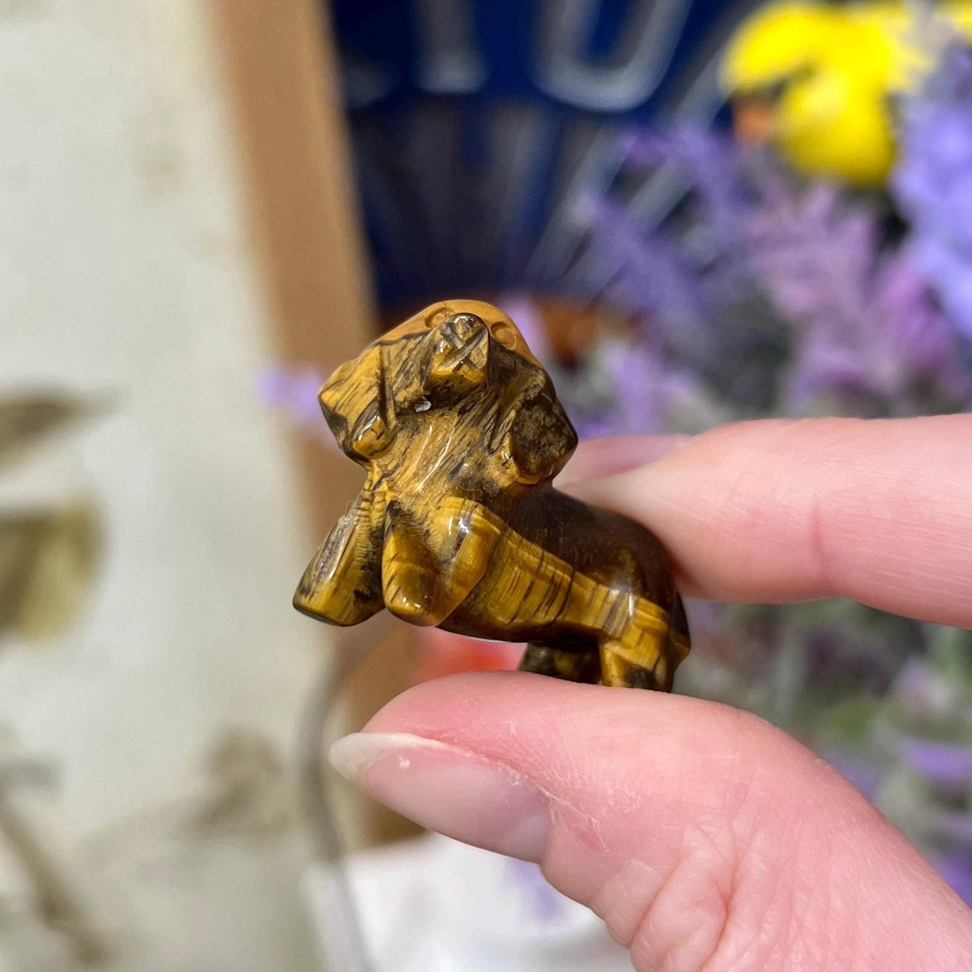 Small Tiger’s Eye Dog Carving | Crystal Dog | Dachshund Carving | Flashy Tiger Eye