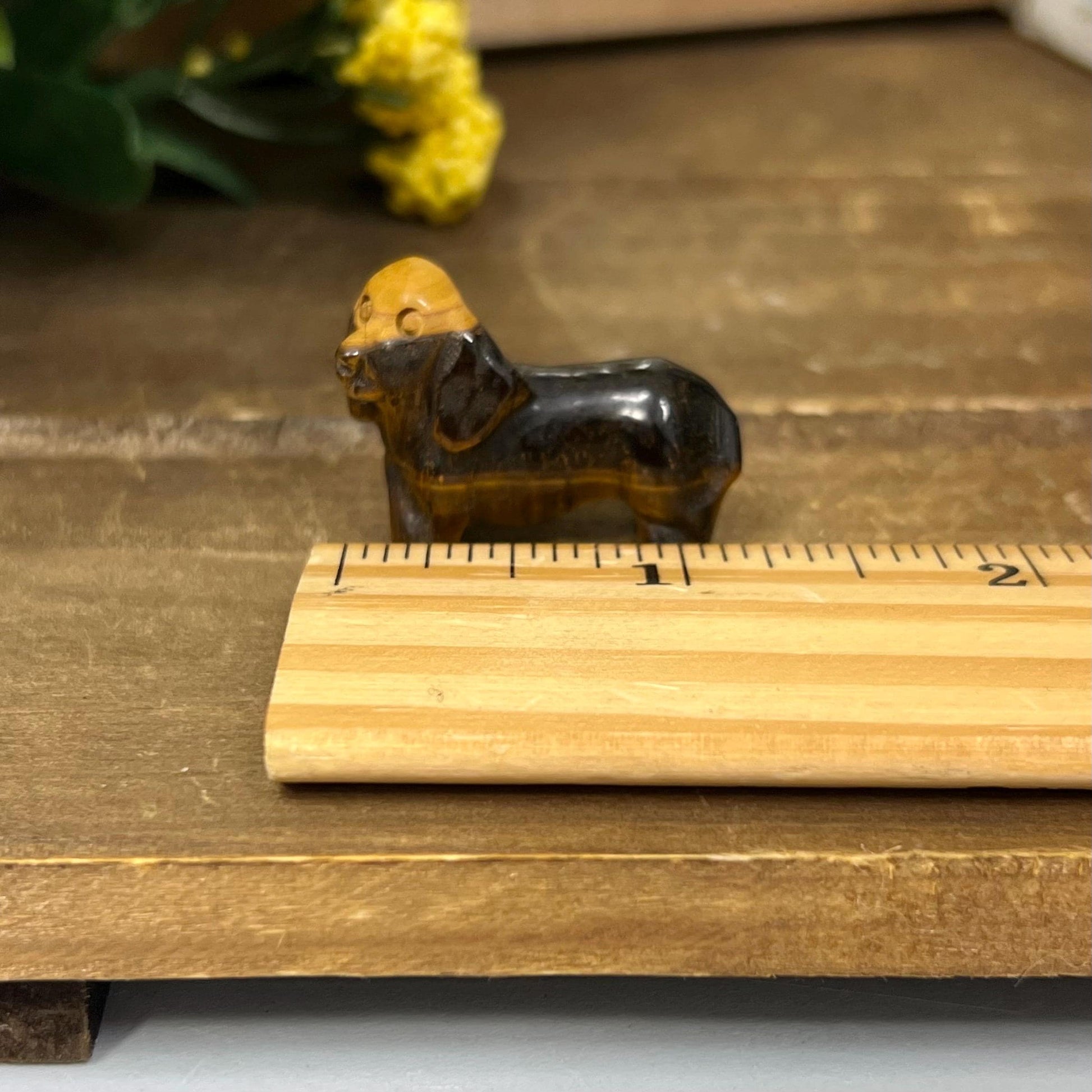 Small Tiger’s Eye Dog Carving | Crystal Dog | Dachshund Carving | Flashy Tiger Eye