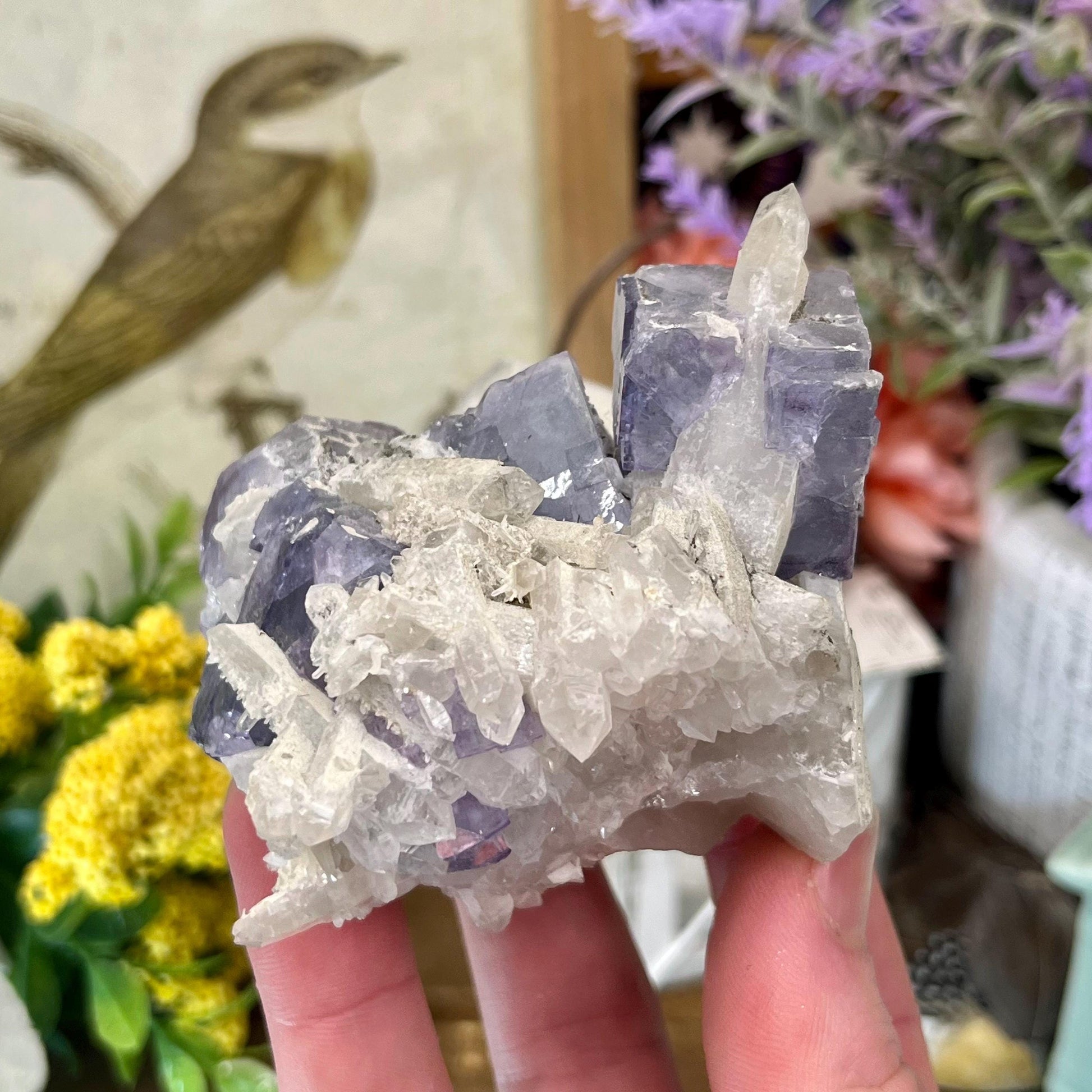 Large Purple Yaogangxian Fluorite Specimen | Yaogangxian Mineral Specimen | Pyrite in Fluorite