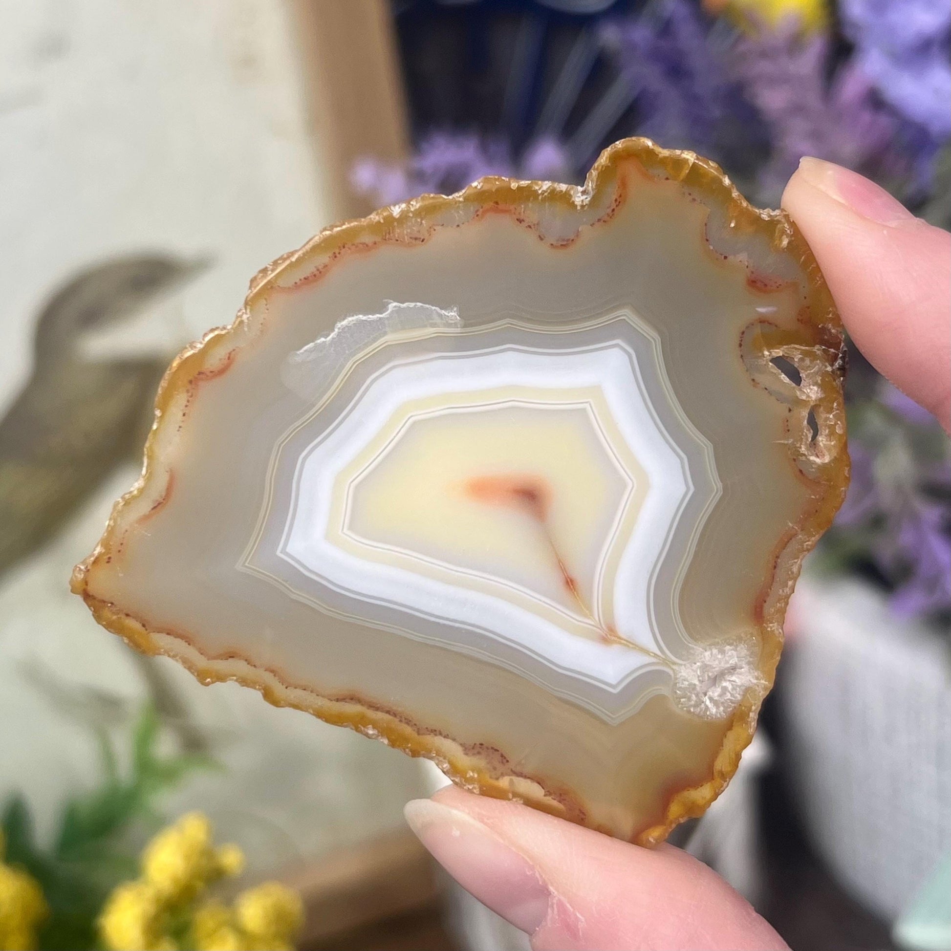 Rainbow Iris Agate | Iris Agate Slice
