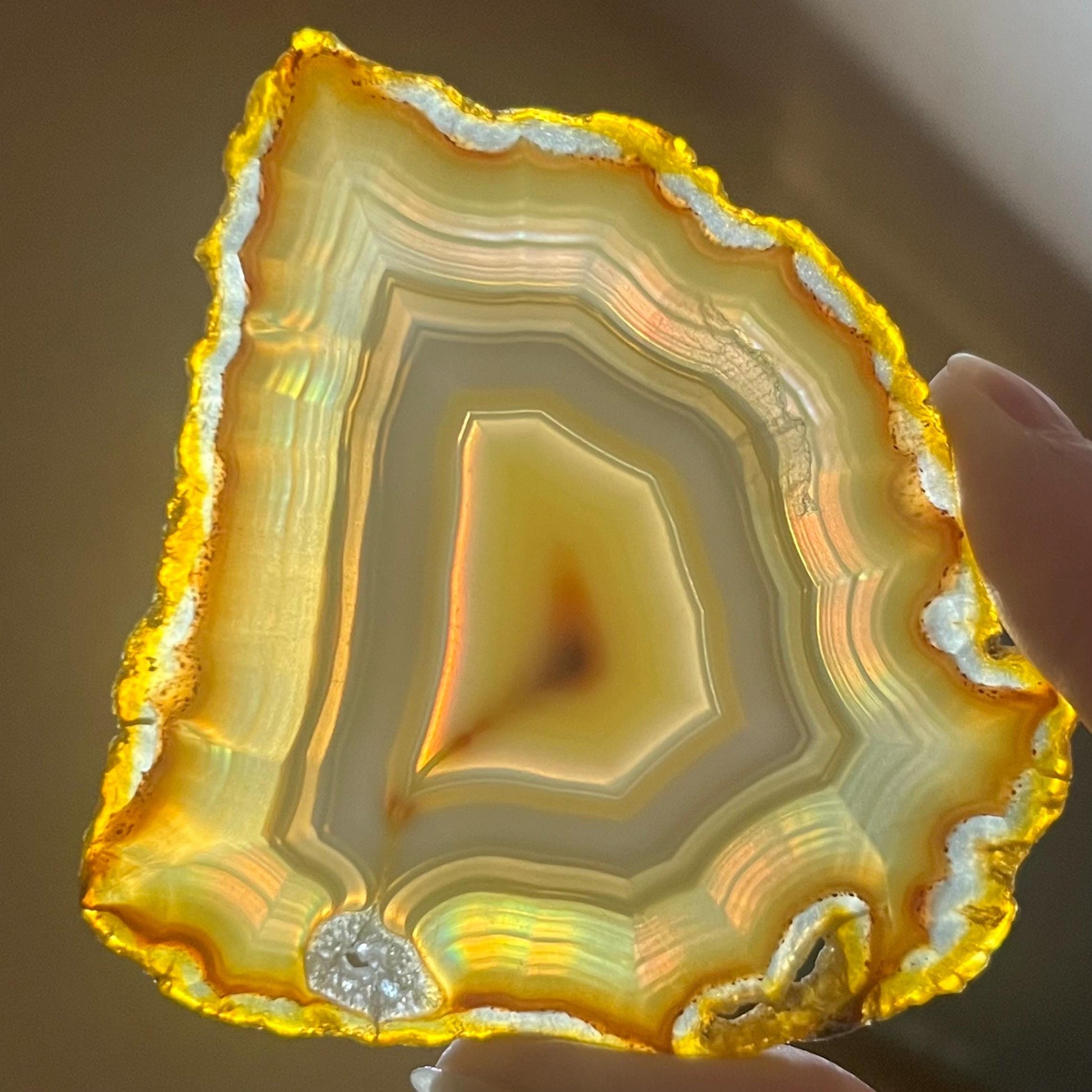 Rainbow Iris Agate | Iris Agate Slice
