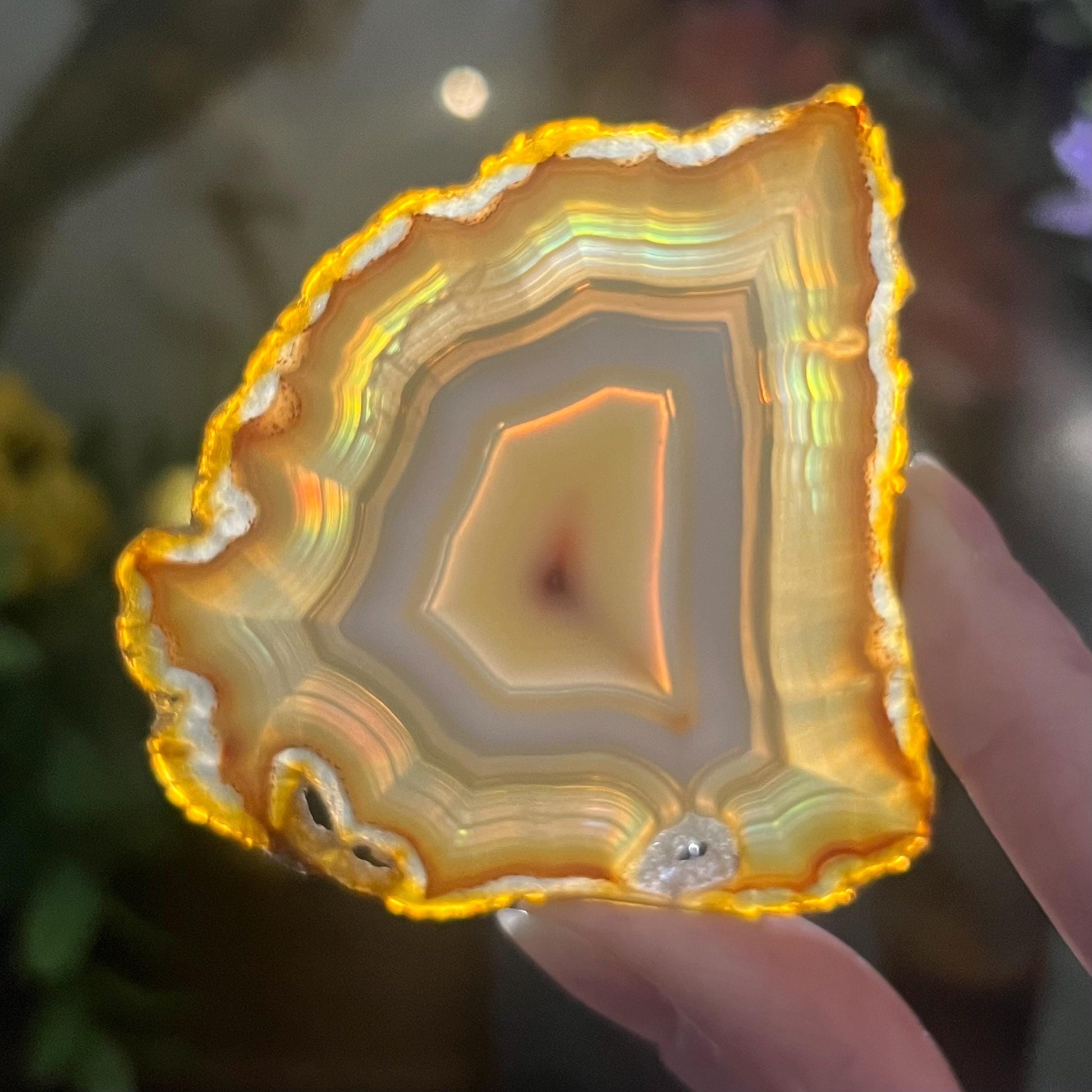 Rainbow Iris Agate | Iris Agate Slice