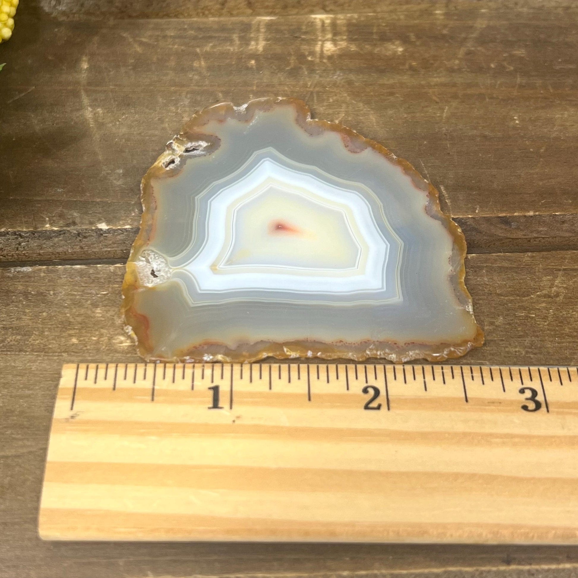 Rainbow Iris Agate | Iris Agate Slice