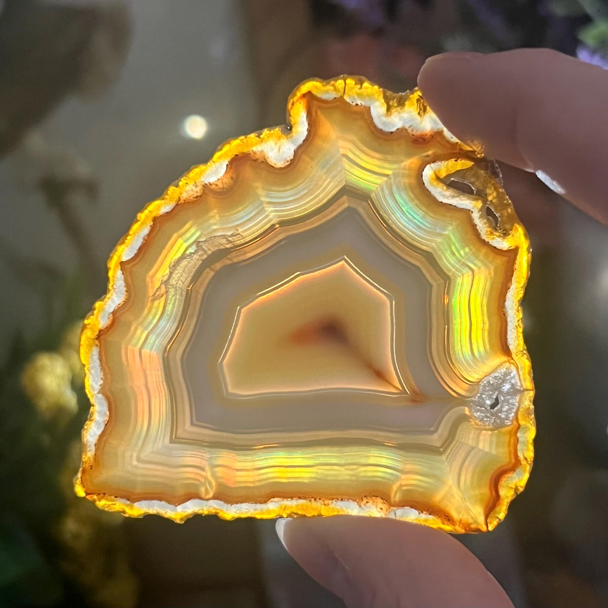Rainbow Iris Agate | Iris Agate Slice