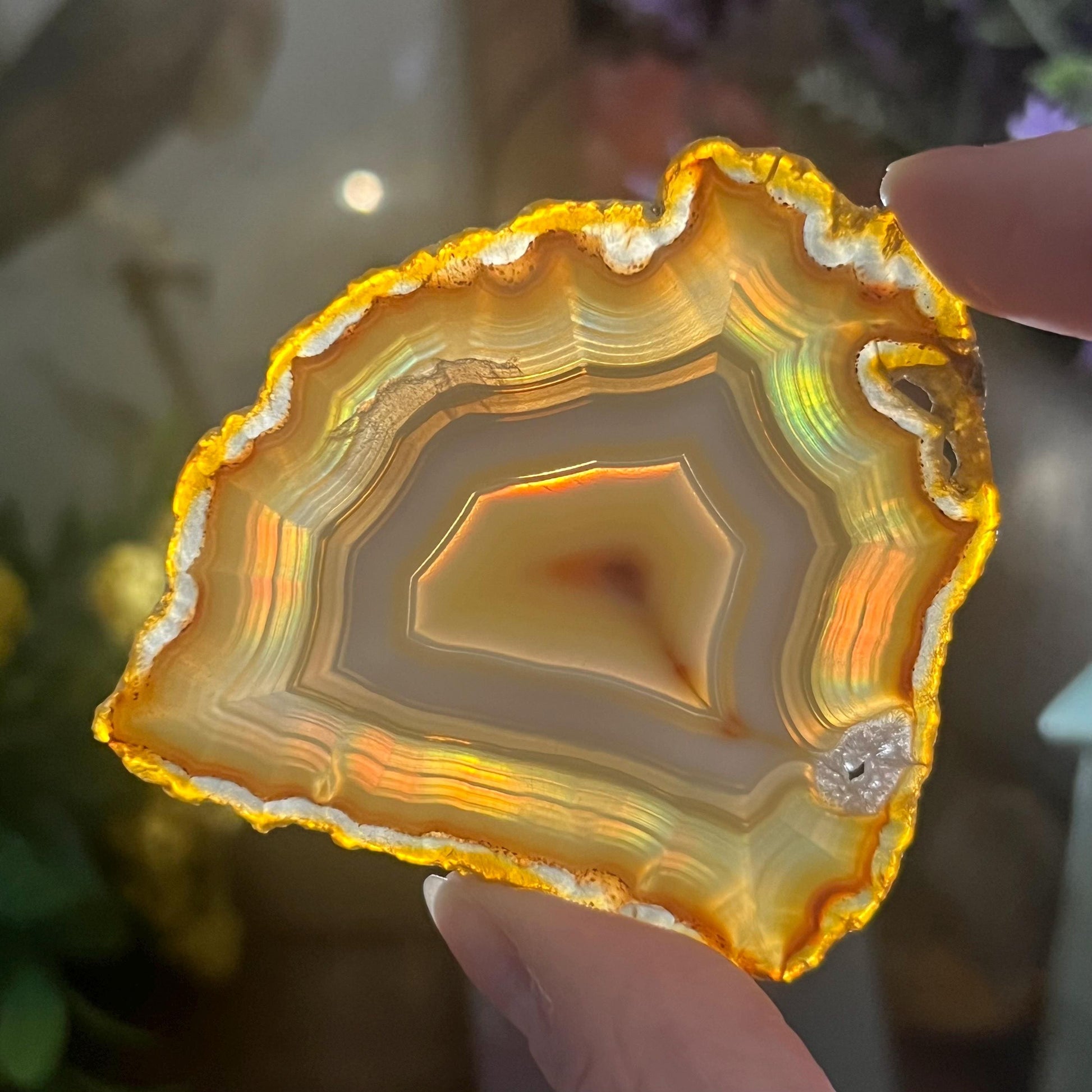 Rainbow Iris Agate | Iris Agate Slice