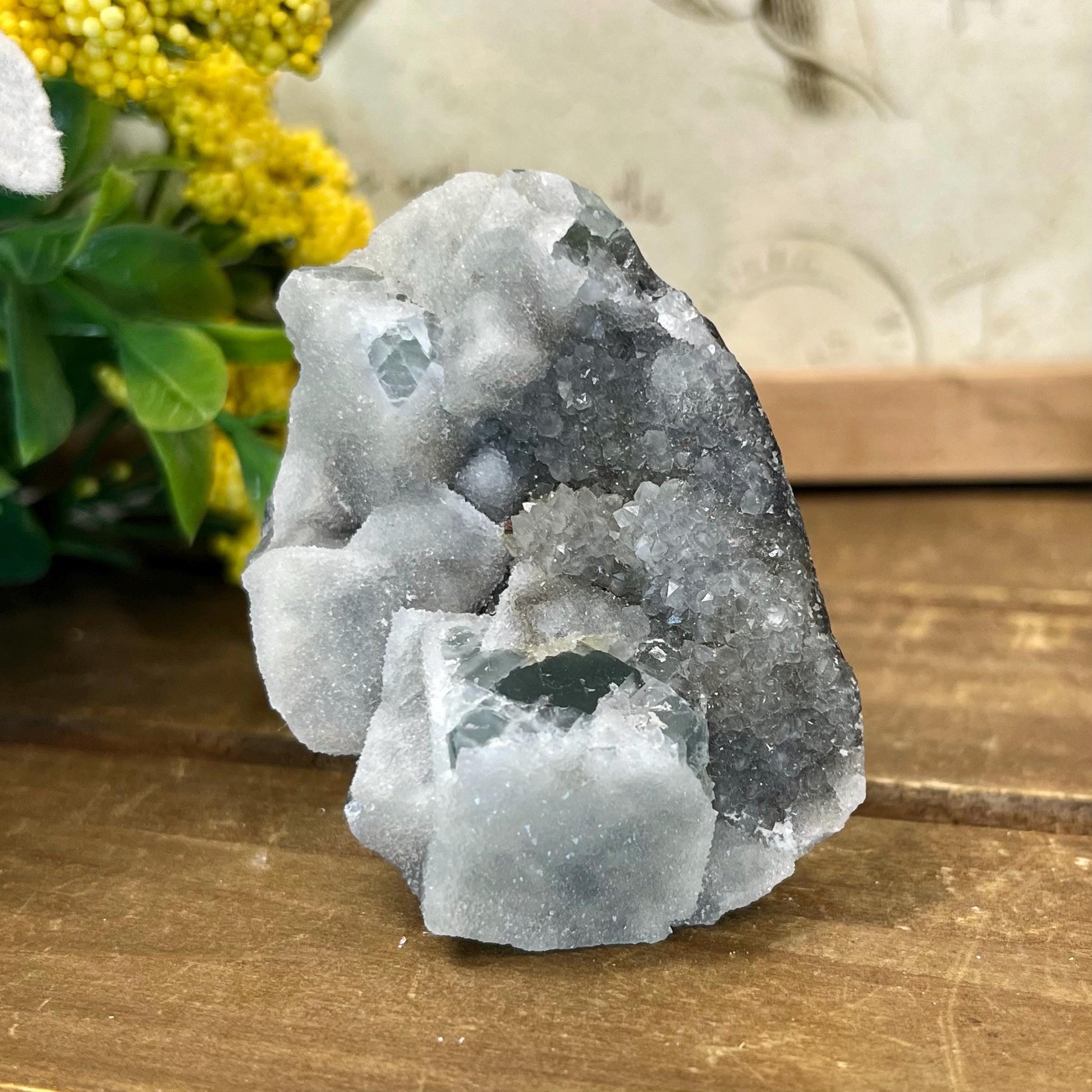 Cubic Fluorite with Quartz Specimen | Sugar Fluorite | Sugar Druzy | Light Green Fluorite Specimen