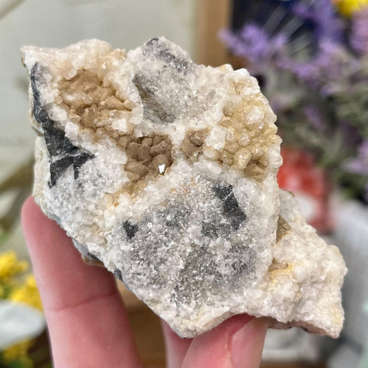 Calcite Crystals on Breccia from Utah | Calcite Clusters and Druzy | Unique Mineral Specimen | Dogtooth Calcite