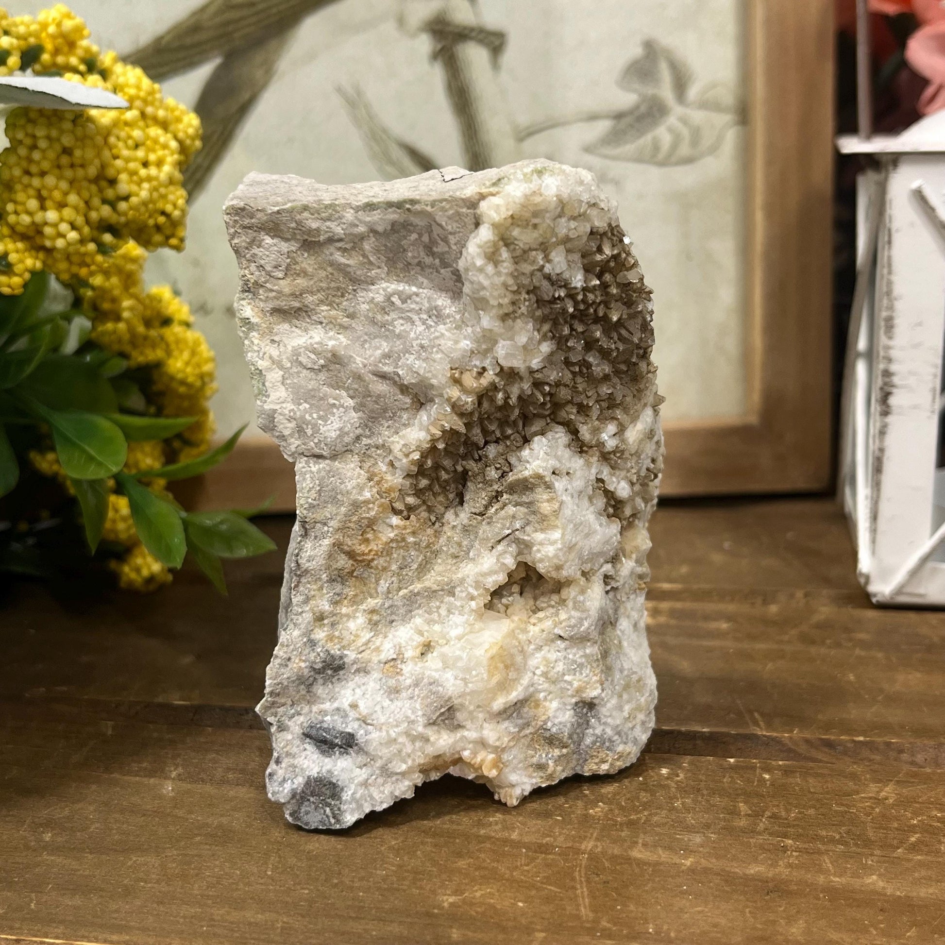 Calcite Crystals on Breccia from Utah | Calcite Clusters and Druzy | Unique Mineral Specimen | Dogtooth Calcite