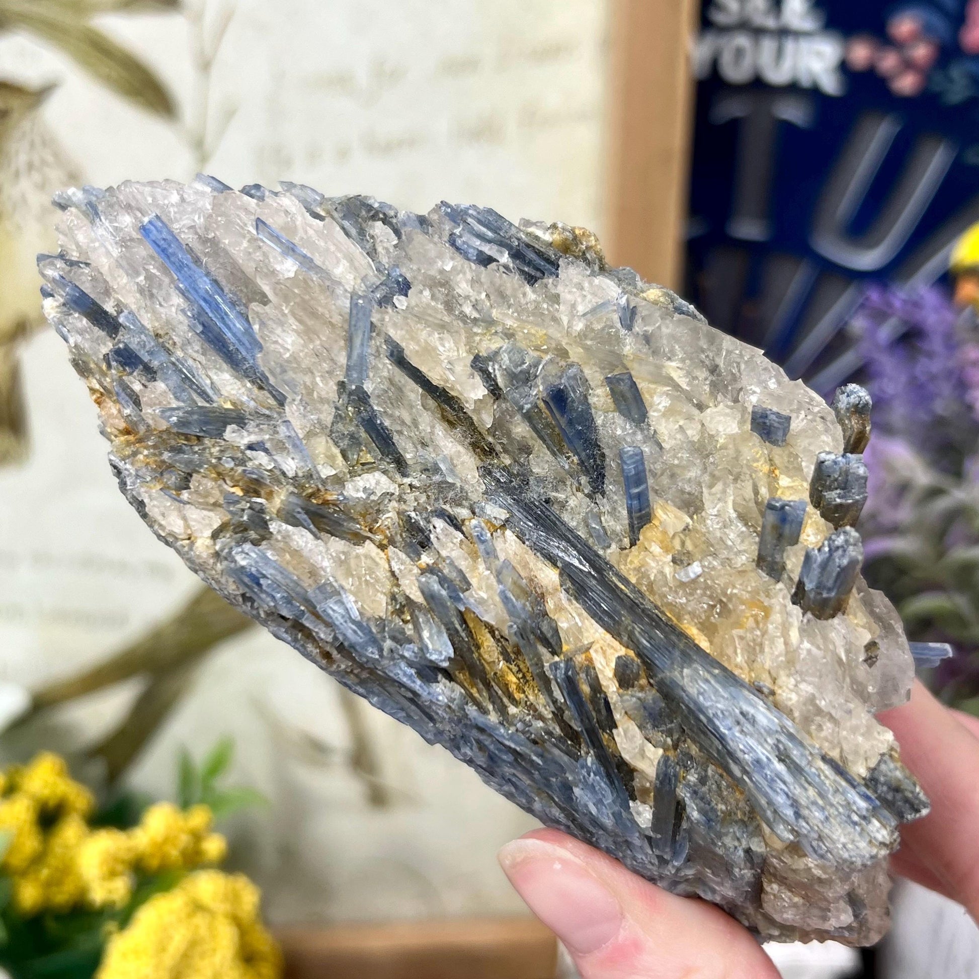 Amazing Blue Kyanite in Quartz Specimen | Raw Blue Kyanite Blades | Kyanite Cluster
