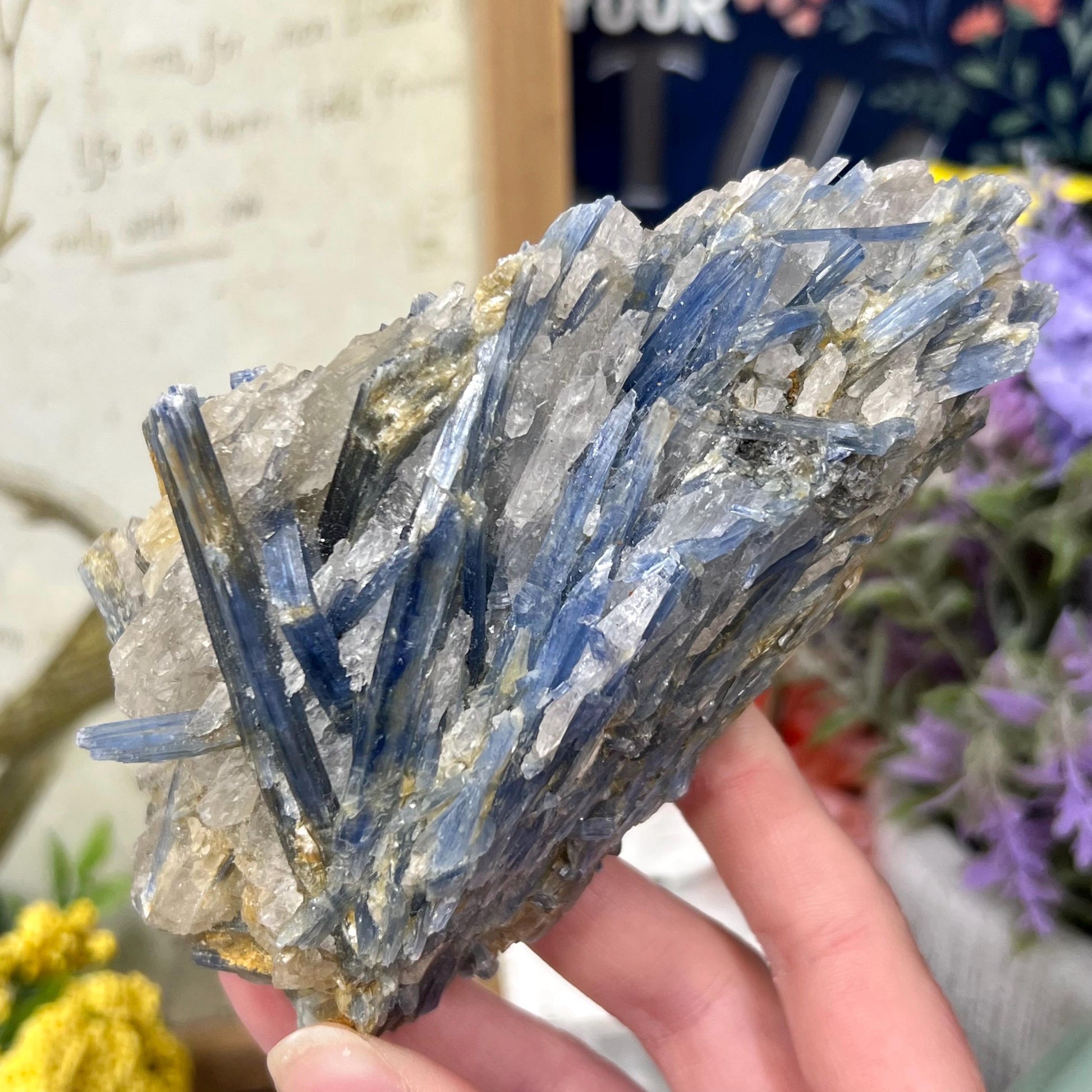 Amazing Blue Kyanite in Quartz Specimen | Raw Blue Kyanite Blades | Kyanite Cluster