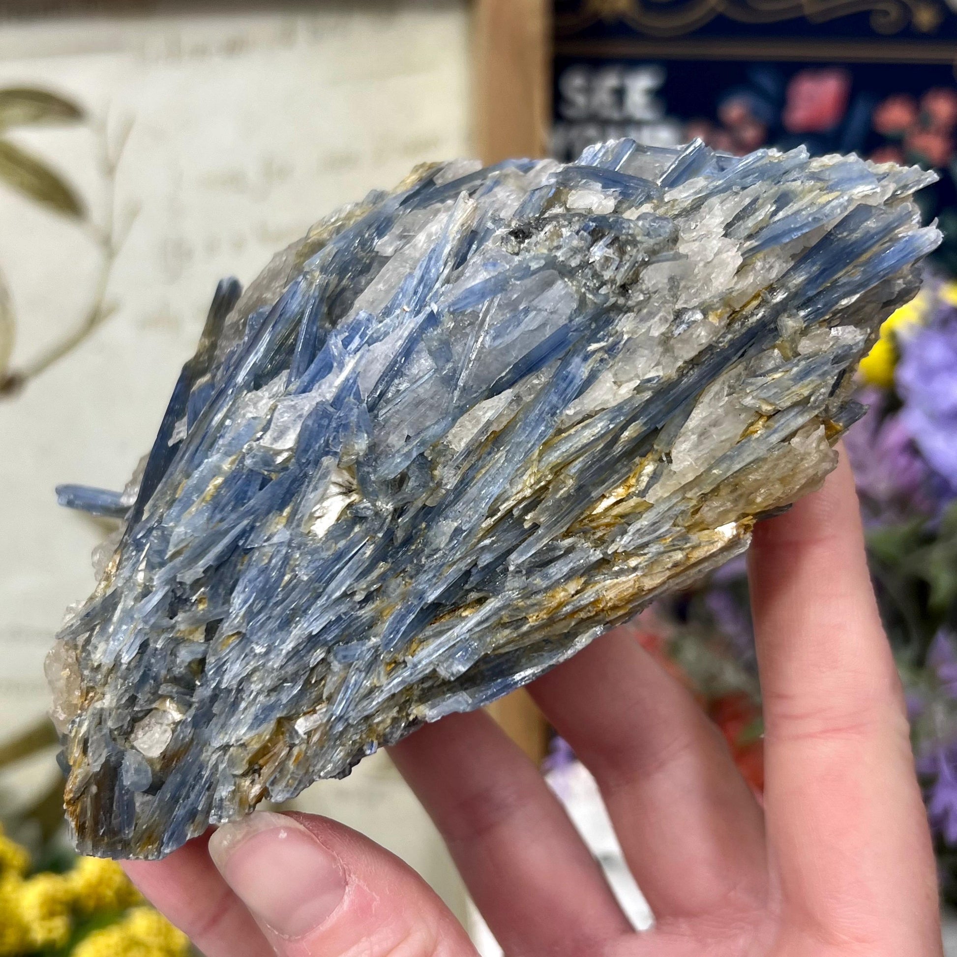 Amazing Blue Kyanite in Quartz Specimen | Raw Blue Kyanite Blades | Kyanite Cluster