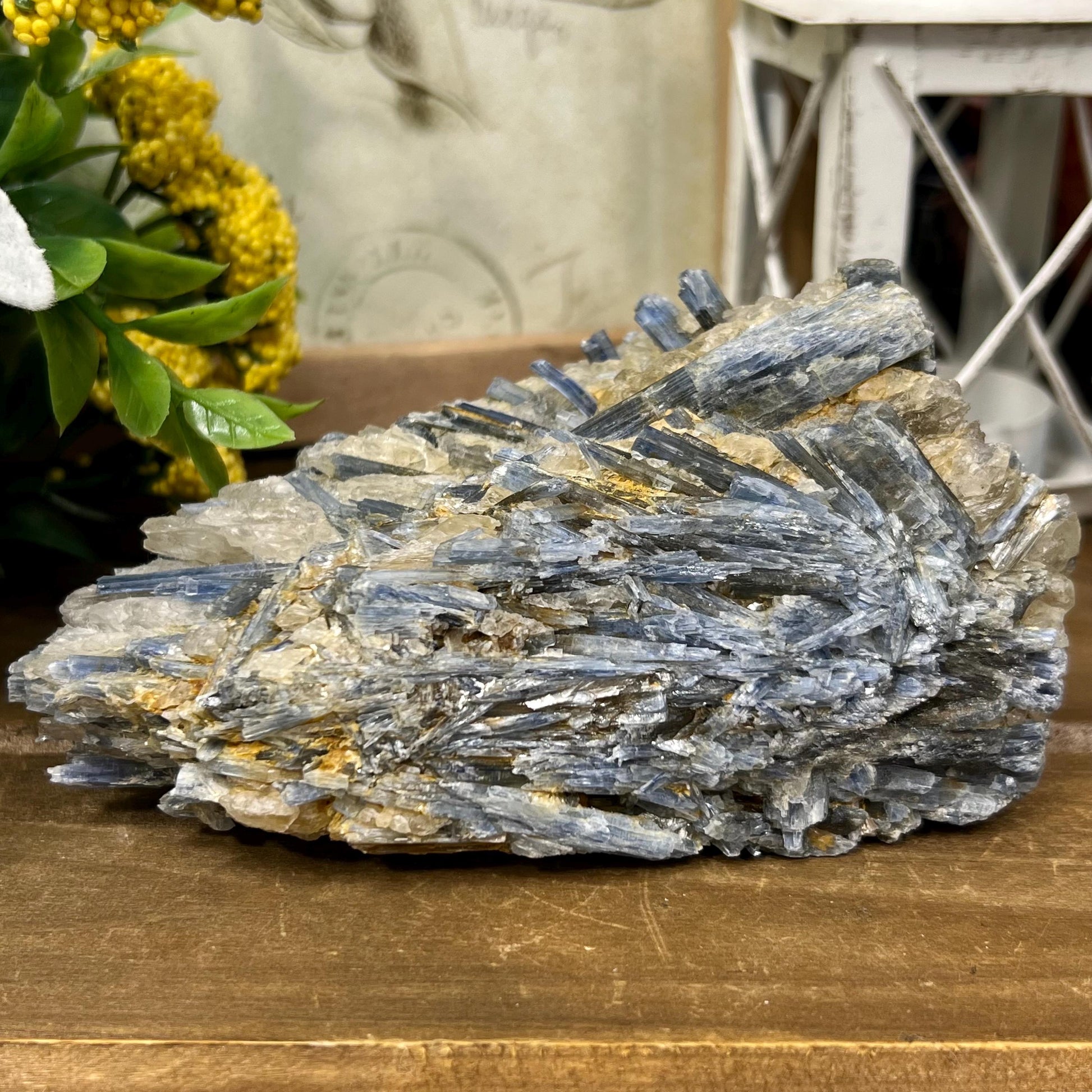 Amazing Blue Kyanite in Quartz Specimen | Raw Blue Kyanite Blades | Kyanite Cluster