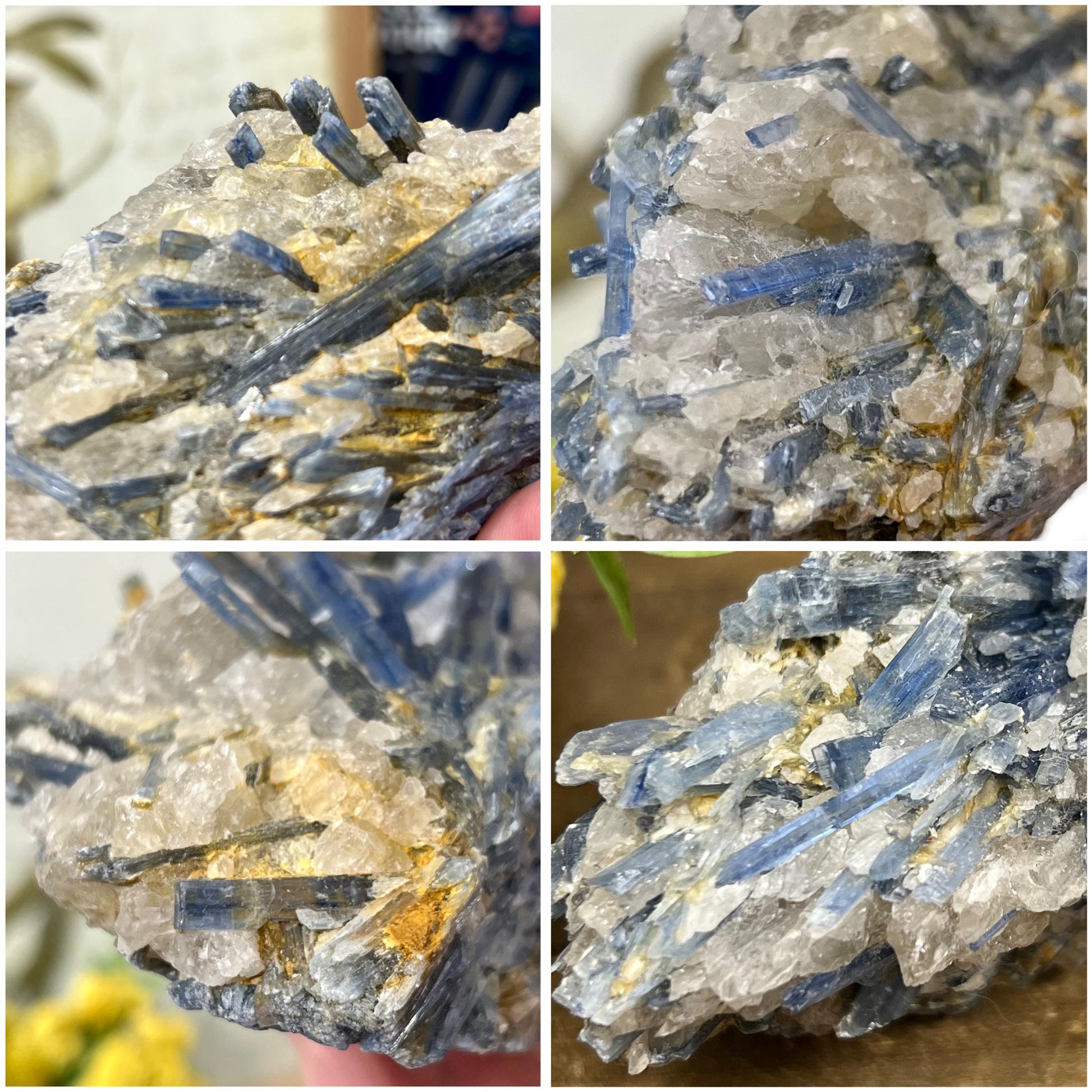 Amazing Blue Kyanite in Quartz Specimen | Raw Blue Kyanite Blades | Kyanite Cluster