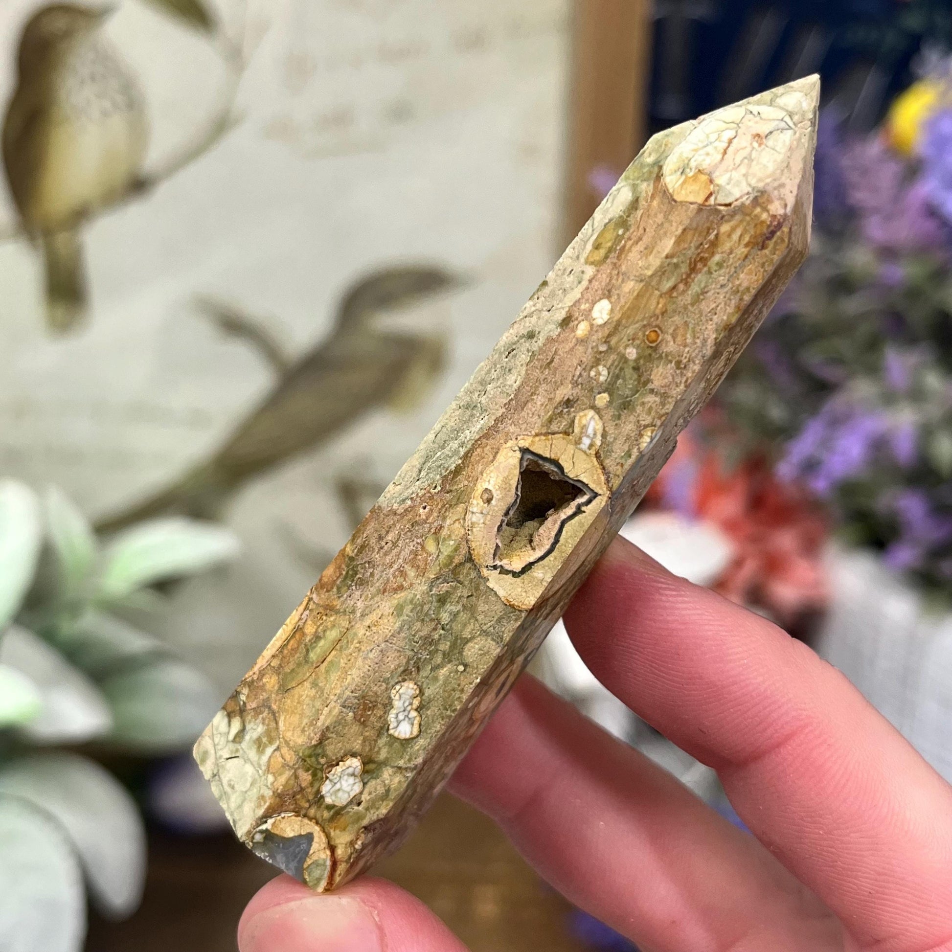 Rainforest Rhyolite Tower | Rainforest Jasper