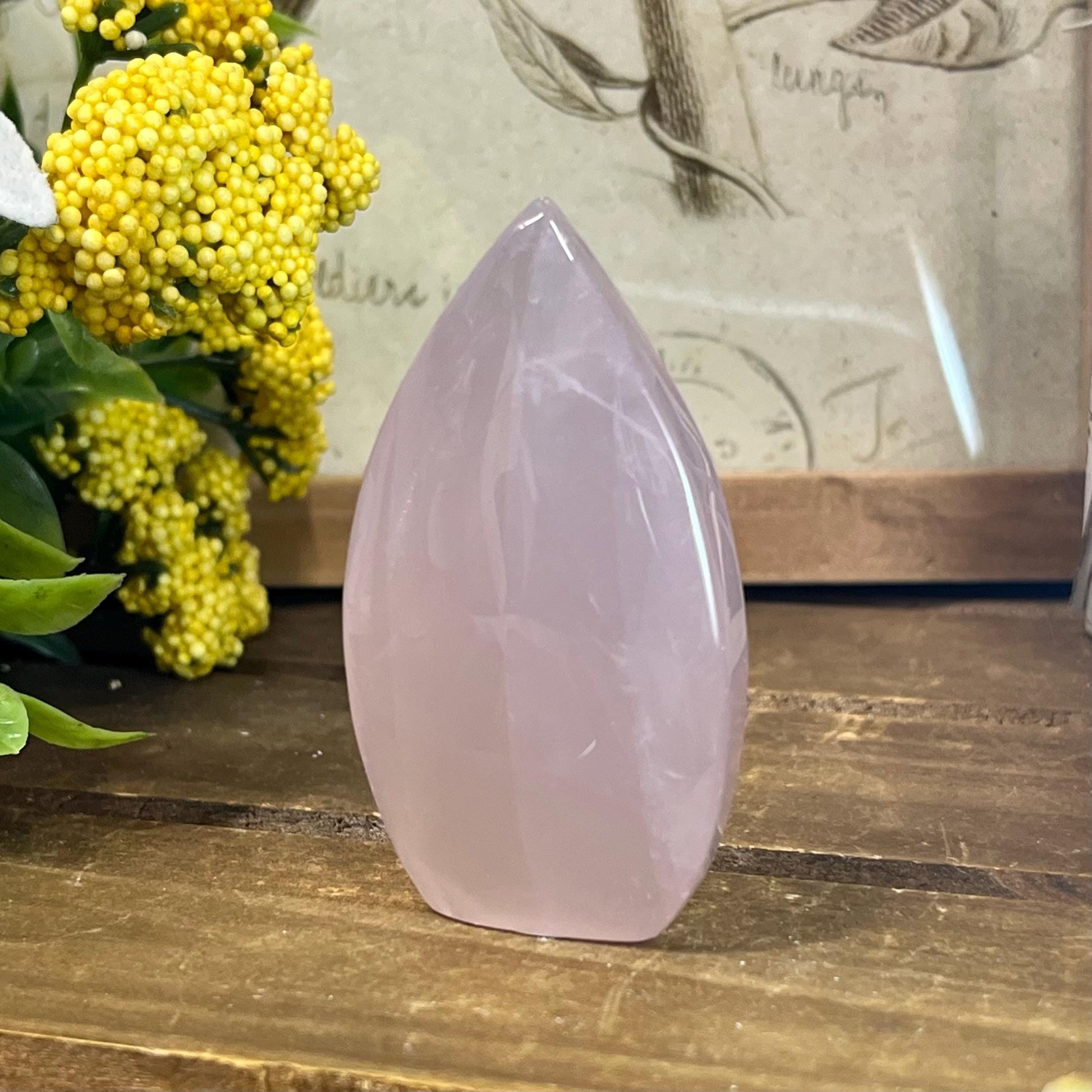 Rose Quartz Freeform | High Quality