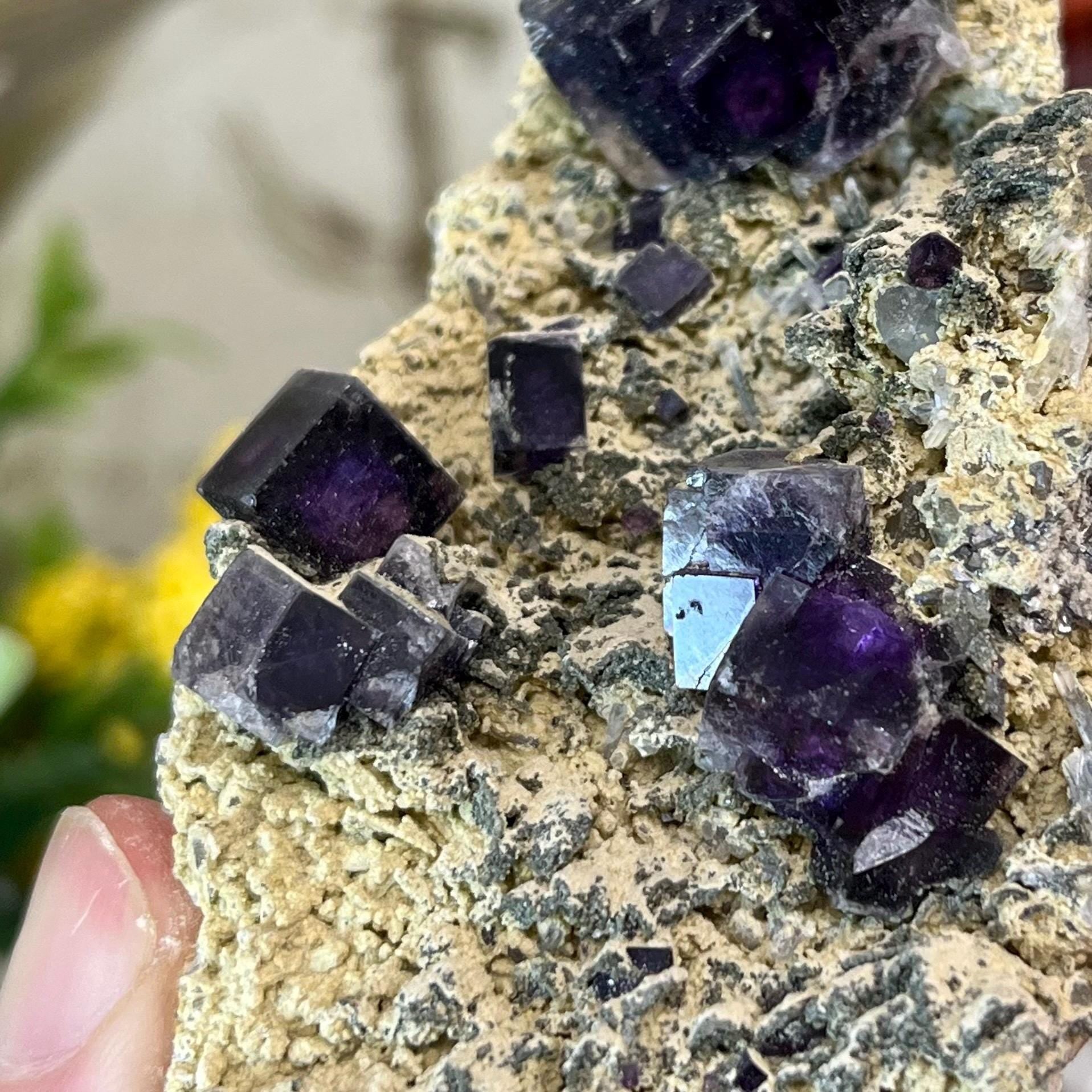 Cubic Fluorite Specimen on Matrix | Dark Purple Fluorite