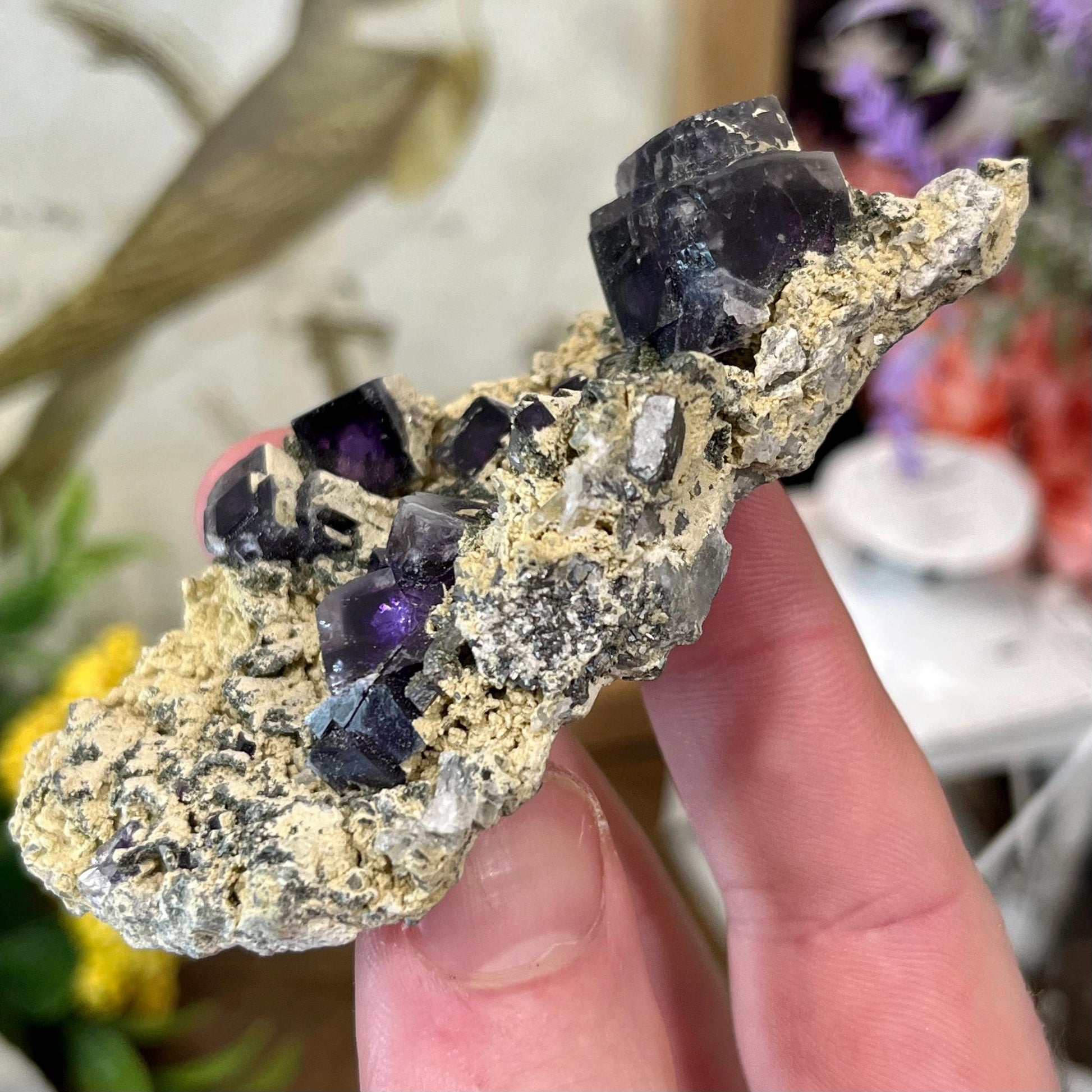 Cubic Fluorite Specimen on Matrix | Dark Purple Fluorite