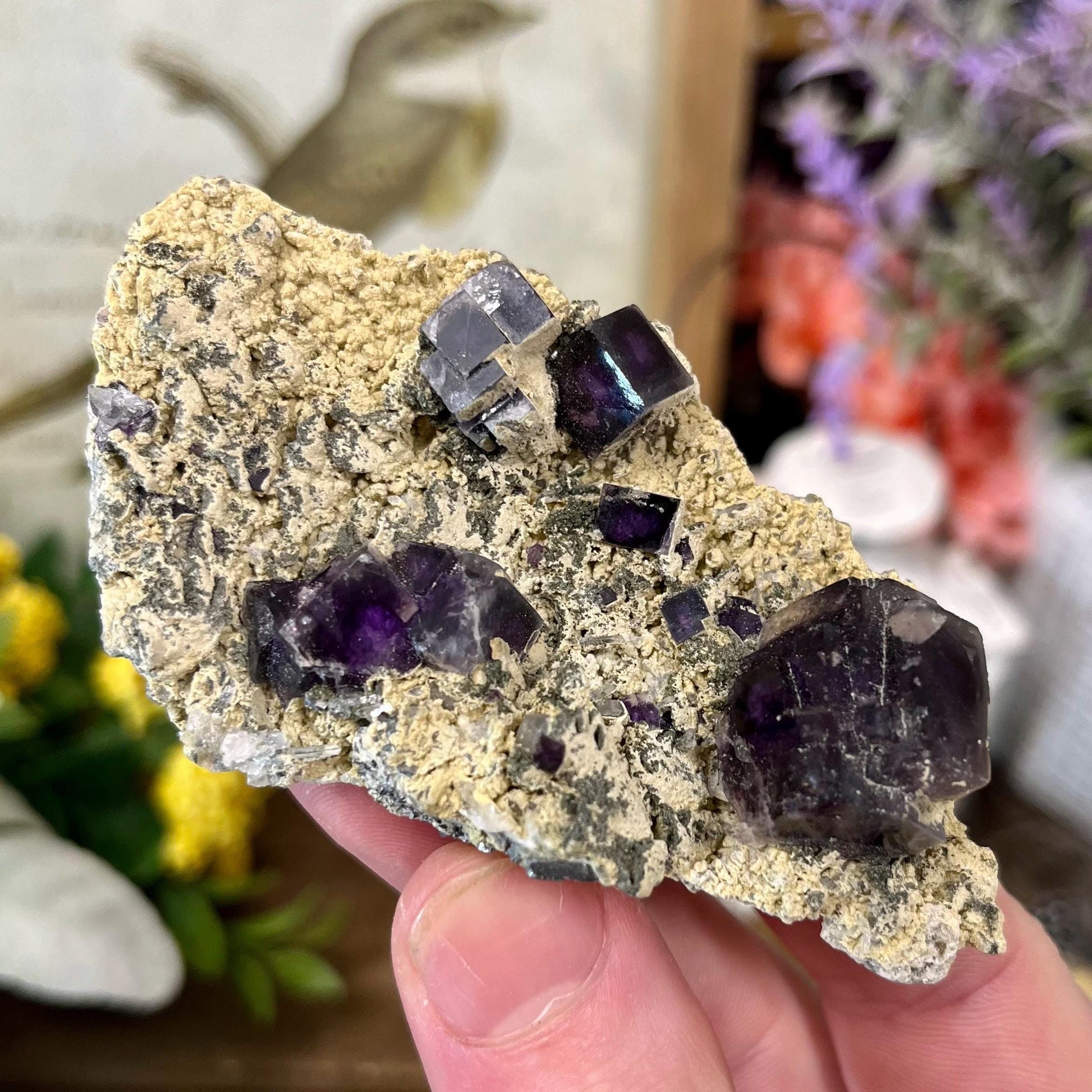 Cubic Fluorite Specimen on Matrix | Dark Purple Fluorite