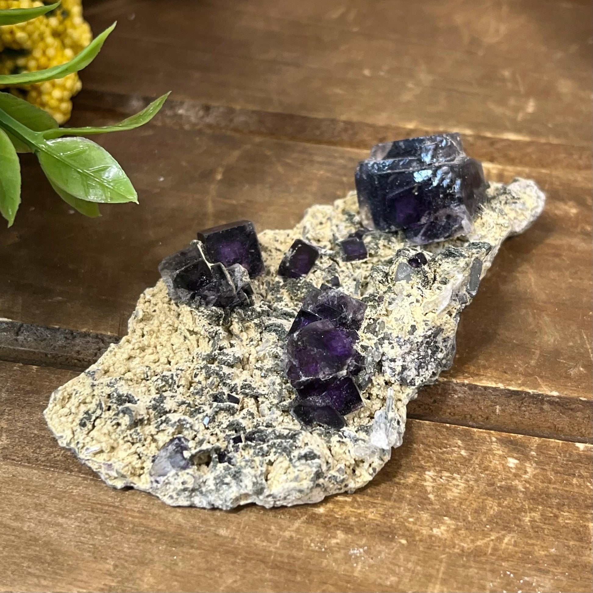 Cubic Fluorite Specimen on Matrix | Dark Purple Fluorite