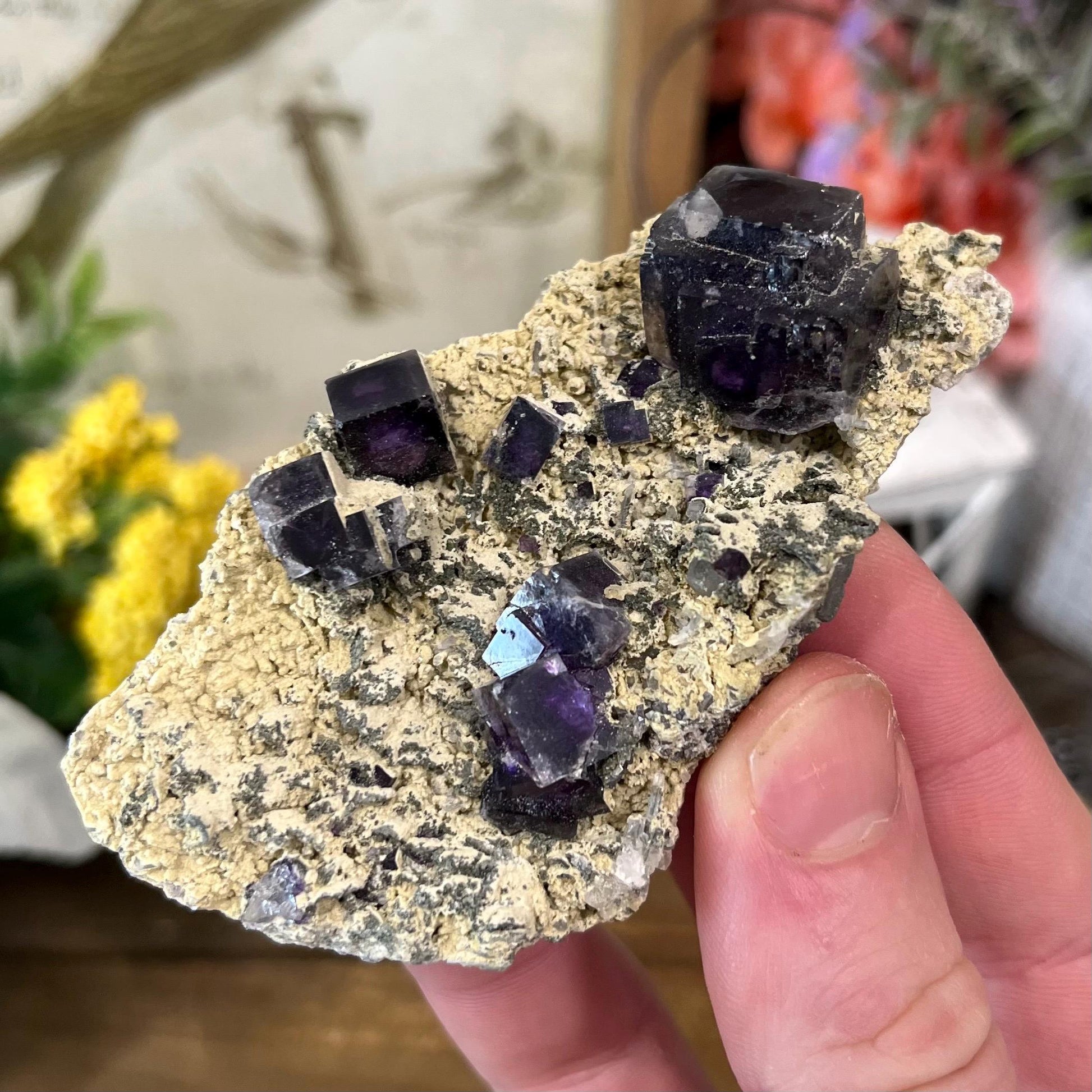 Cubic Fluorite Specimen on Matrix | Dark Purple Fluorite