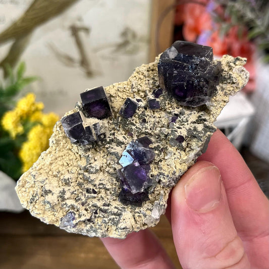 Cubic Fluorite Specimen on Matrix | Dark Purple Fluorite