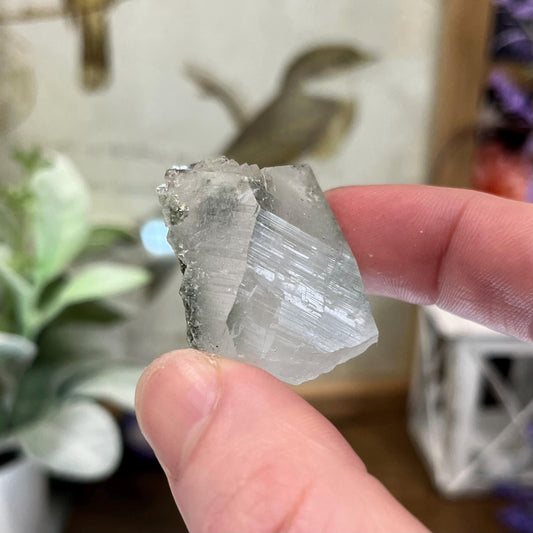 Himalayan Quartz Point with Green Chlorite | Raw Himalayan Quartz Cluster