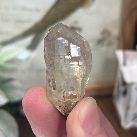Himalayan Quartz Point with Water Clear Formations and Green Chlorite