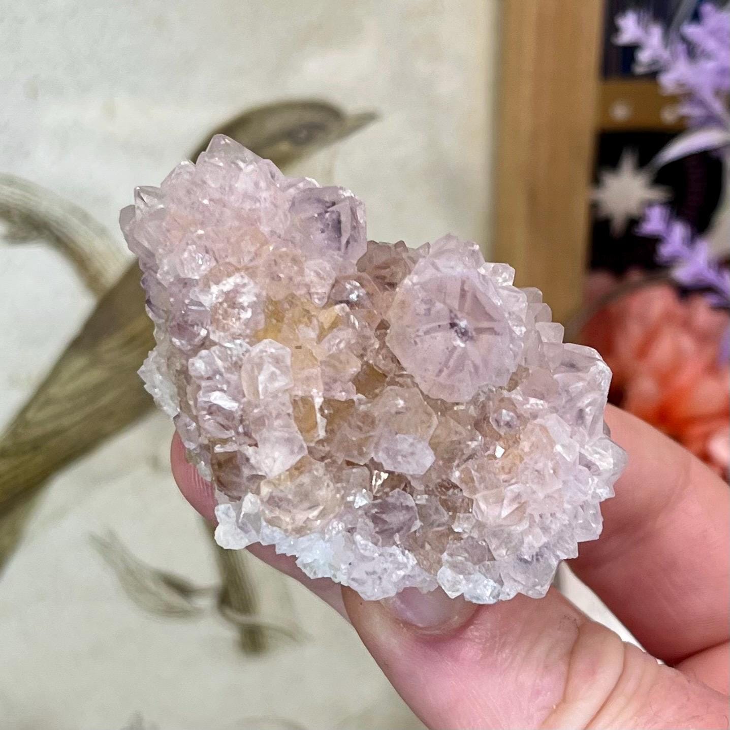High Quality Spirit Quartz | Spirit Amethyst | Cactus Quartz