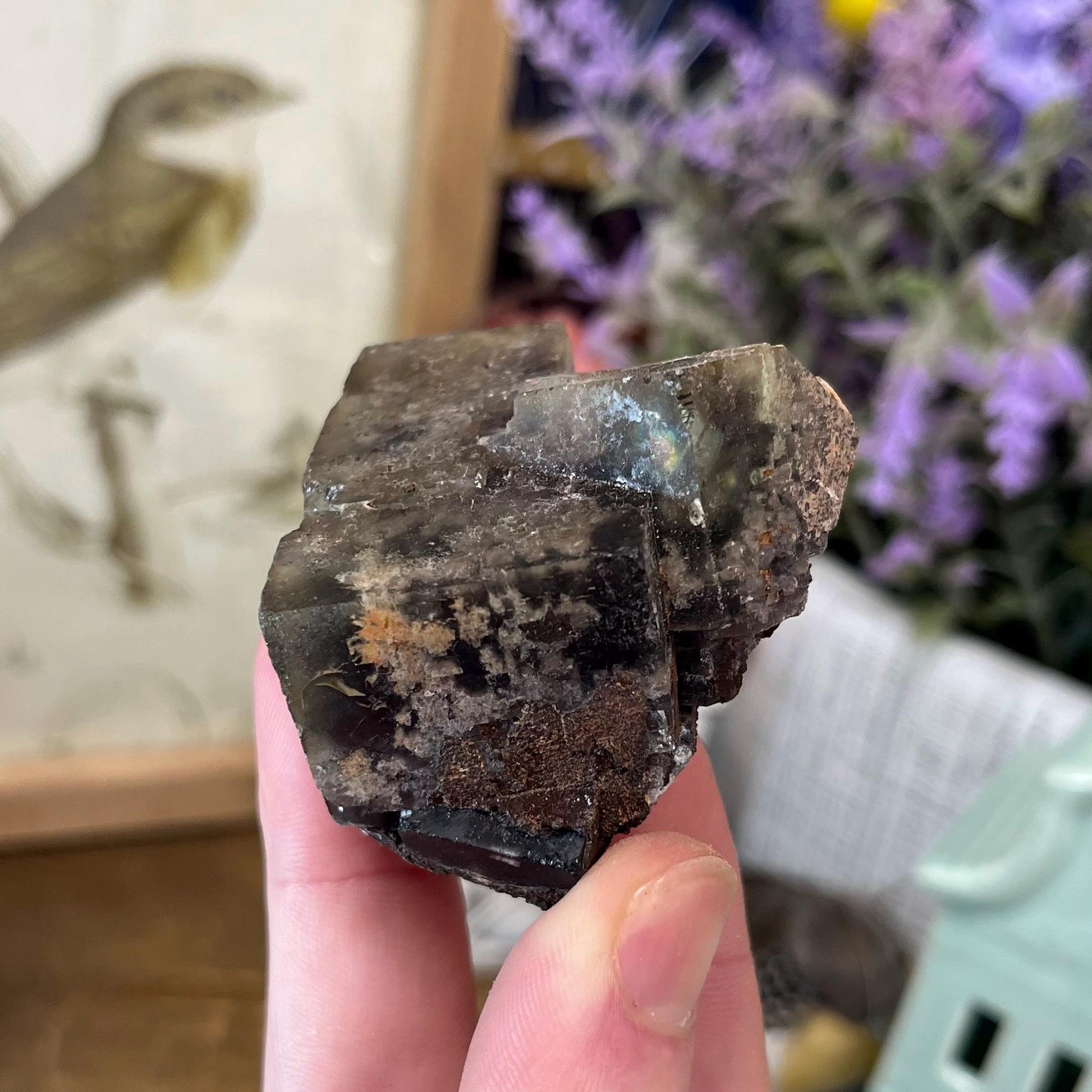 Moroccan Fluorite Specimen | Multicolored Fluorite