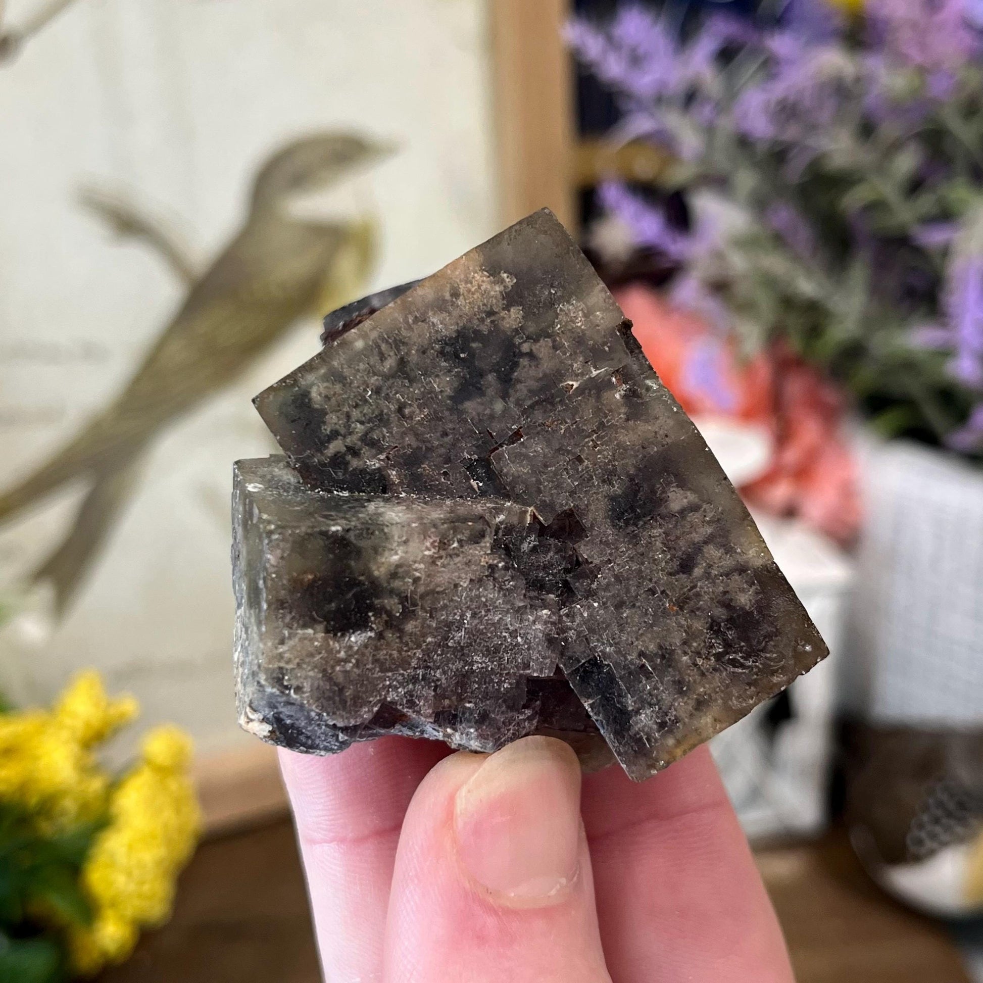 Moroccan Fluorite Specimen | Multicolored Fluorite