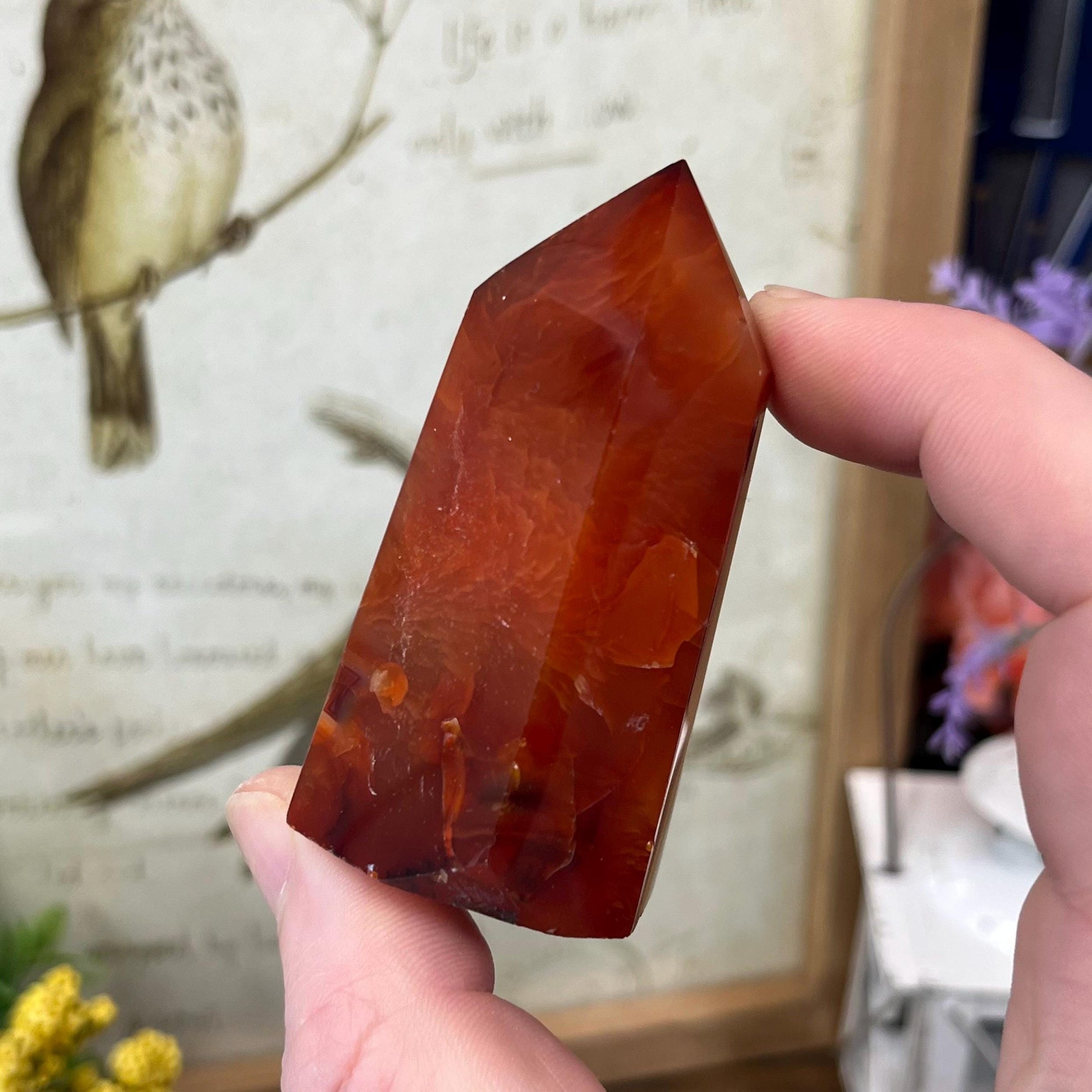 Dark Carnelian Tower | Red Carnelian Agate