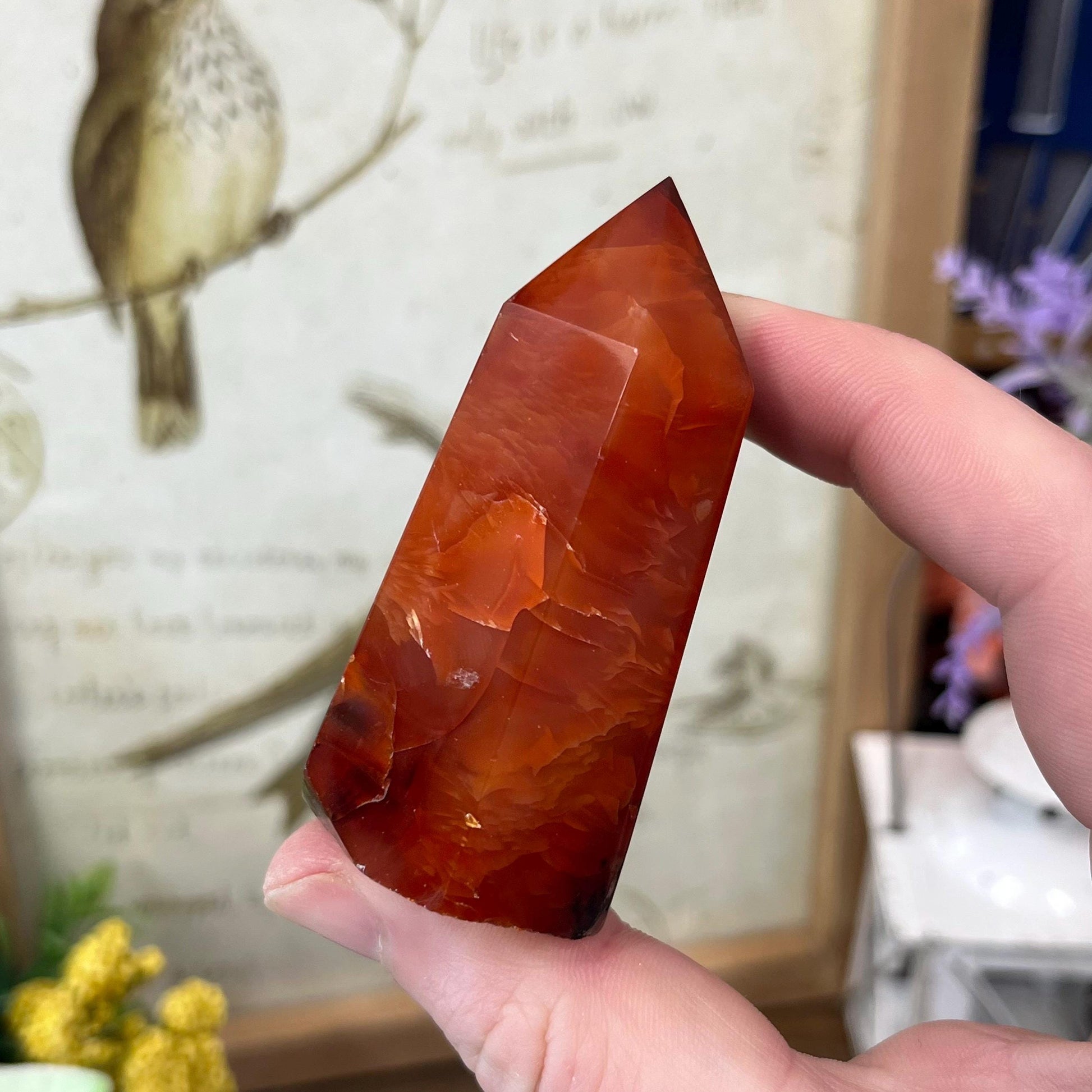 Dark Carnelian Tower | Red Carnelian Agate