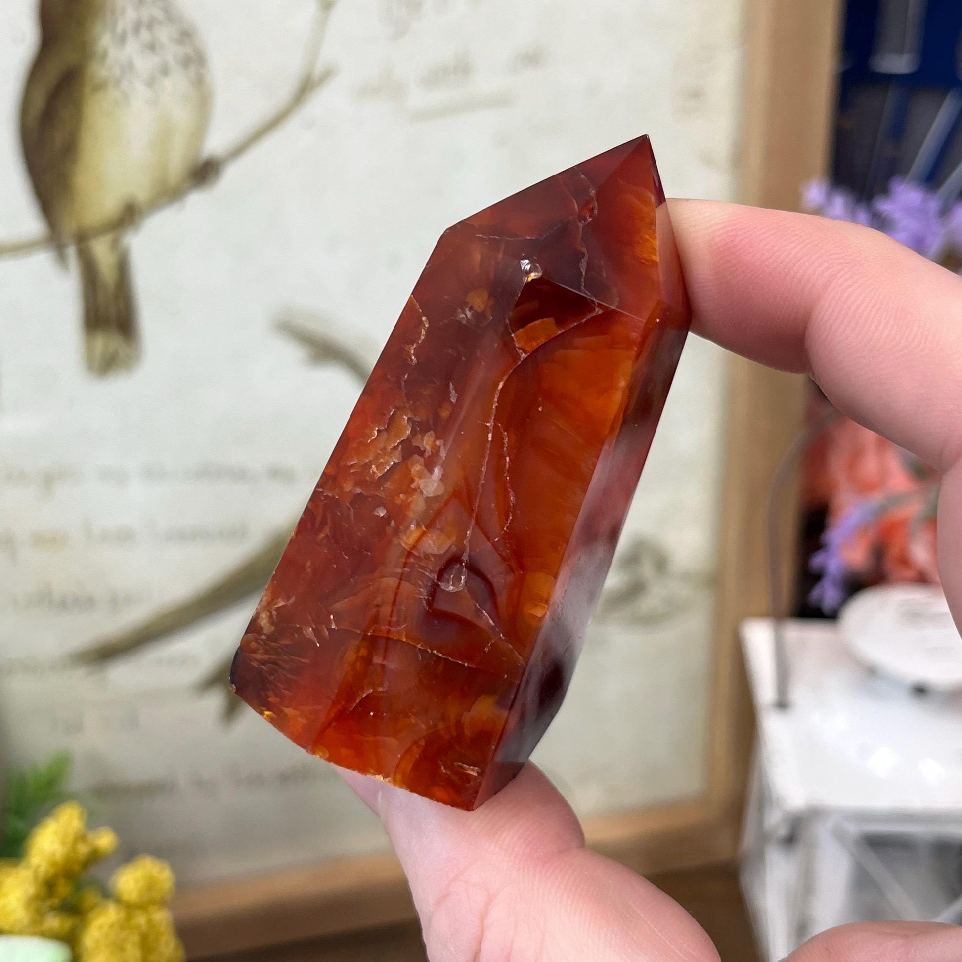 Dark Carnelian Tower | Red Carnelian Agate