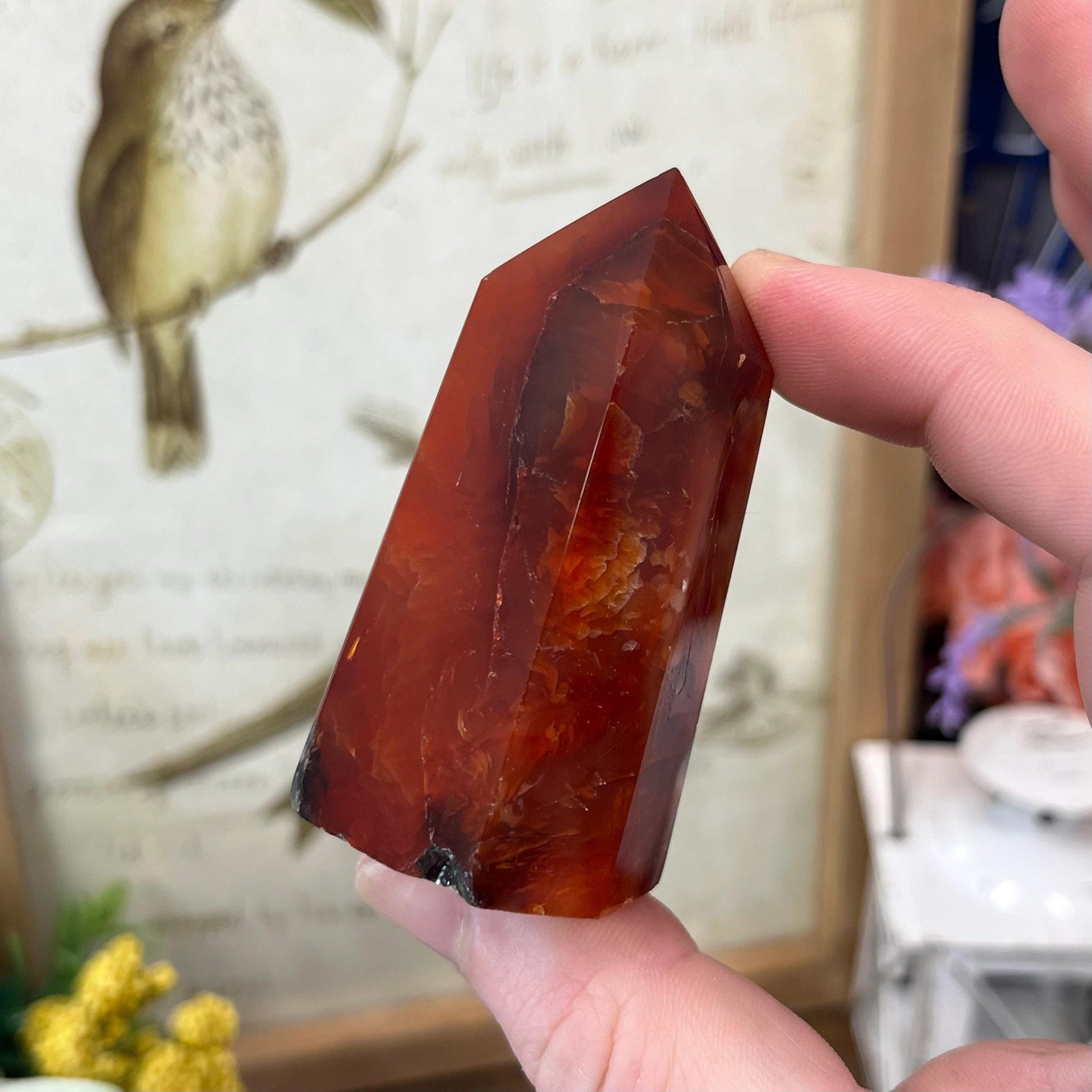 Dark Carnelian Tower | Red Carnelian Agate