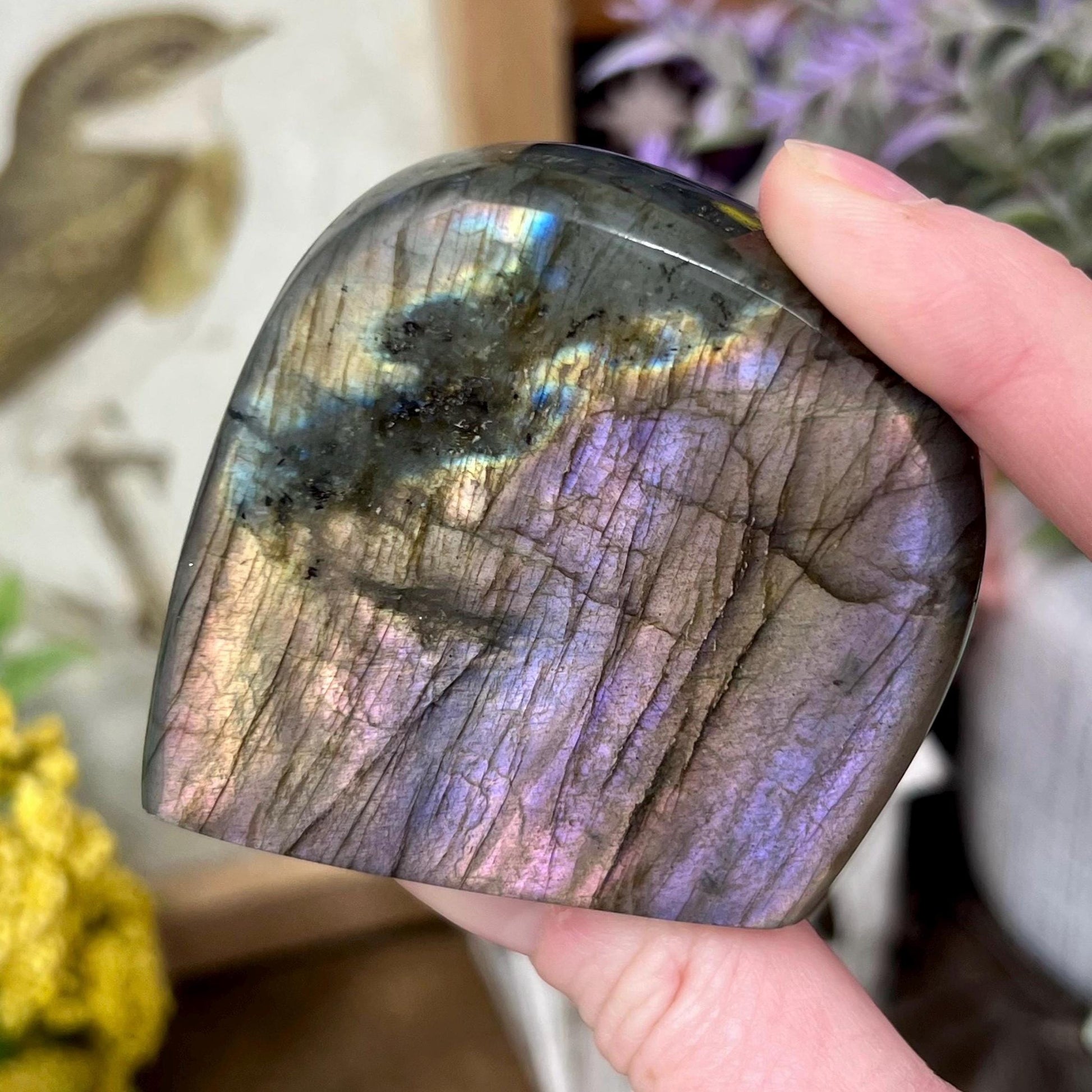 Small Rainbow Labradorite Freeform | Purple Lab Freeform | Pink Labradorite